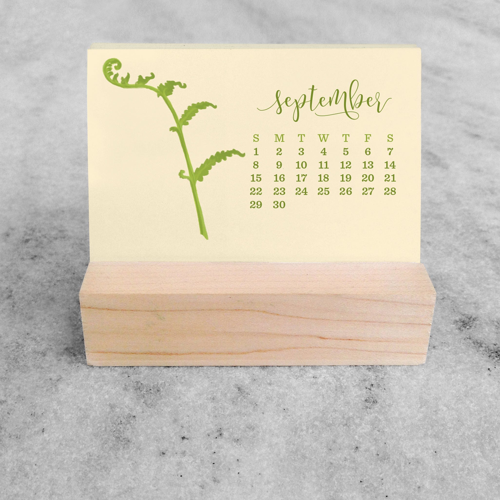 Favorite Story Mini Desk Calendar Fern 2023/2024 Mini Desk Calendar
