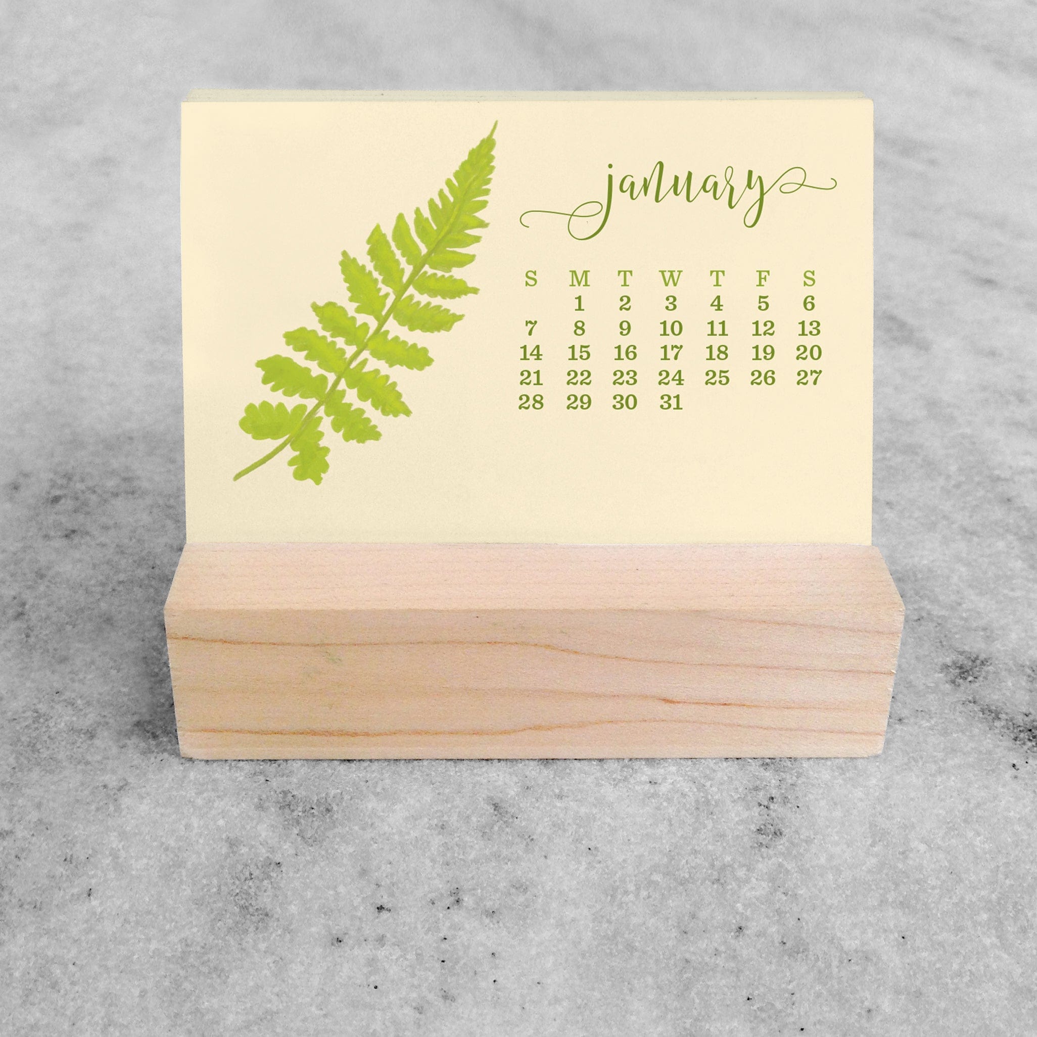 Favorite Story Mini Desk Calendar Fern 2023/2024 Mini Desk Calendar