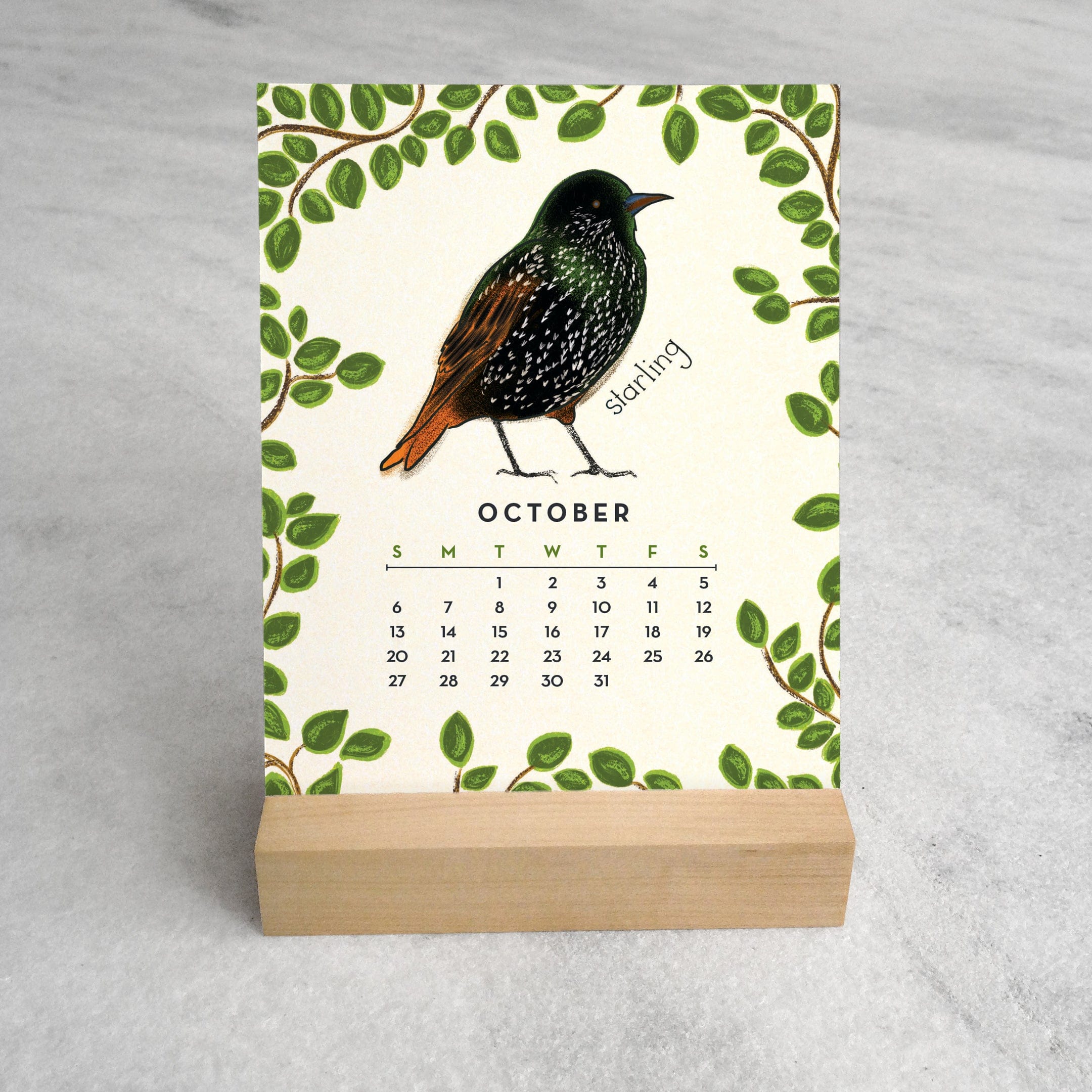 Favorite Story Desk Calendar Feathered Friends 2024 Desk Calendar