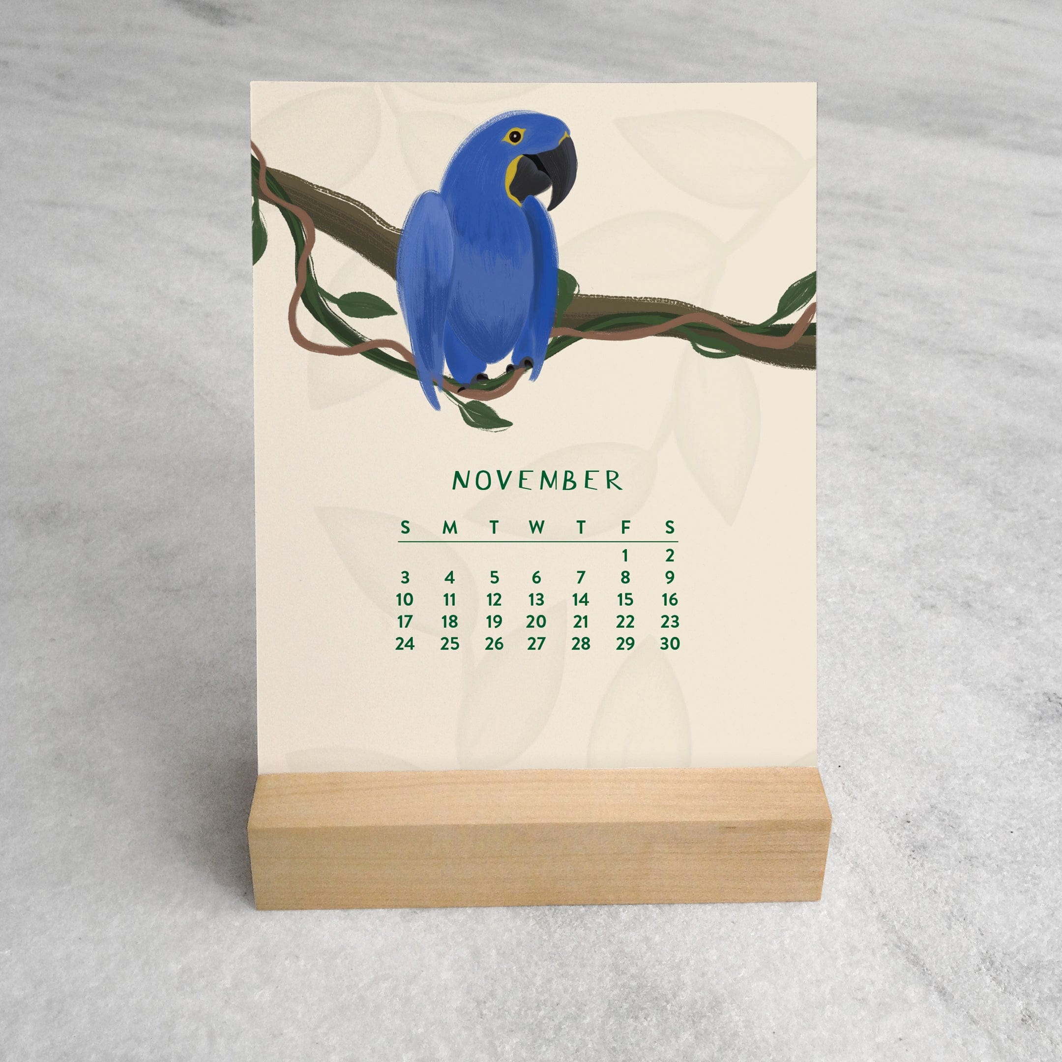 Favorite Story Desk Calendar In the Jungle 2024 Desk Calendar