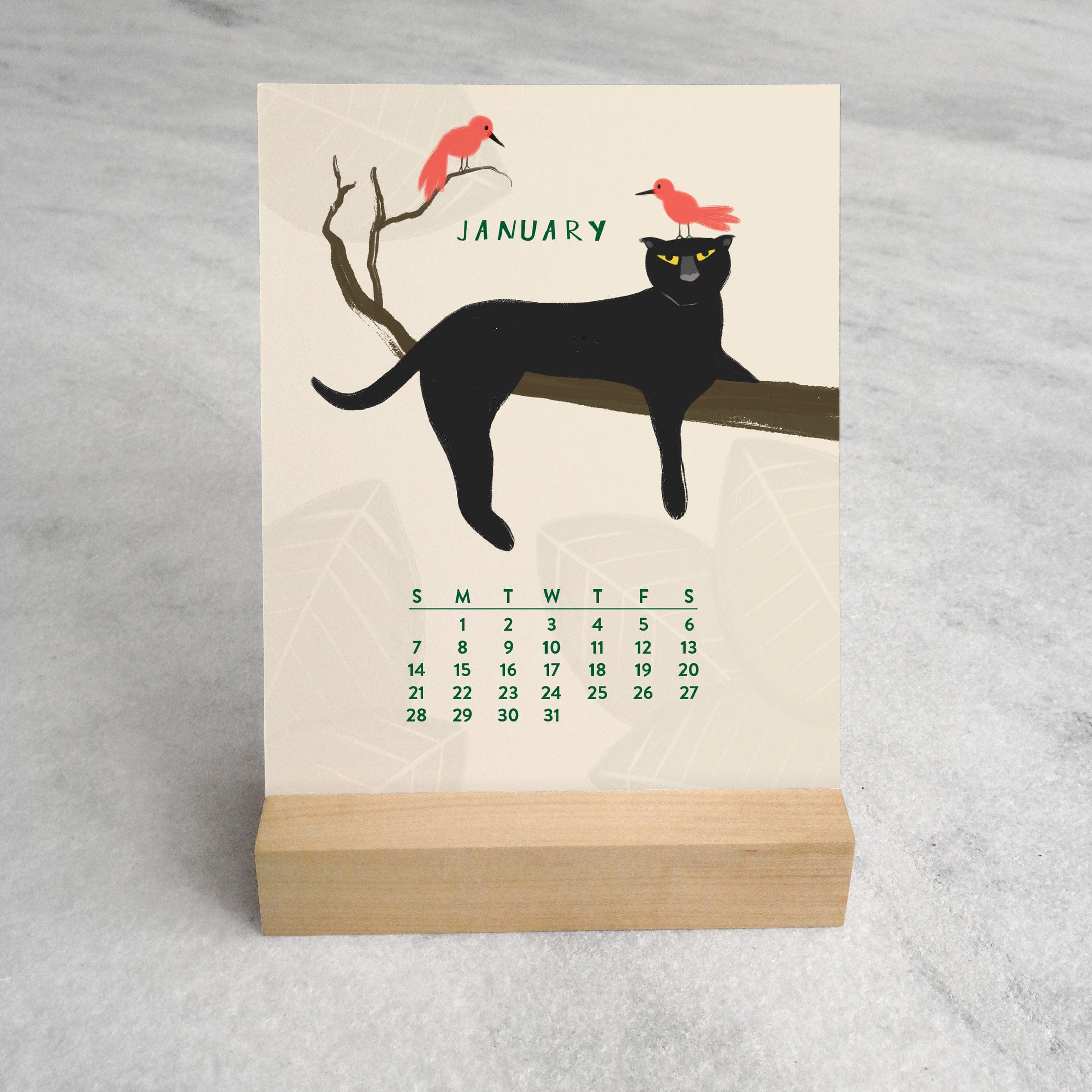 Favorite Story Desk Calendar In the Jungle 2024 Desk Calendar