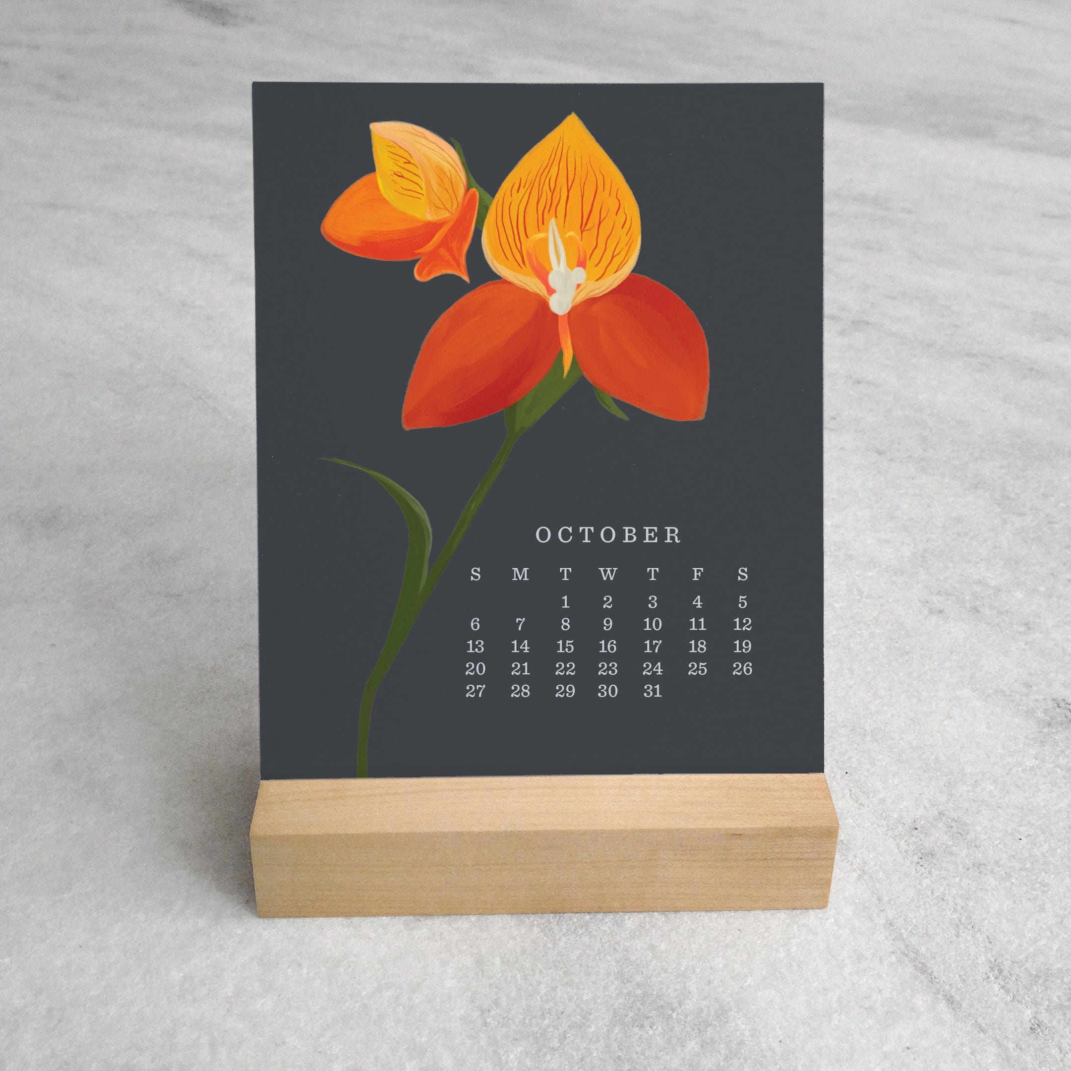 Favorite Story Desk Calendar Orchid 2024 Desk Calendar