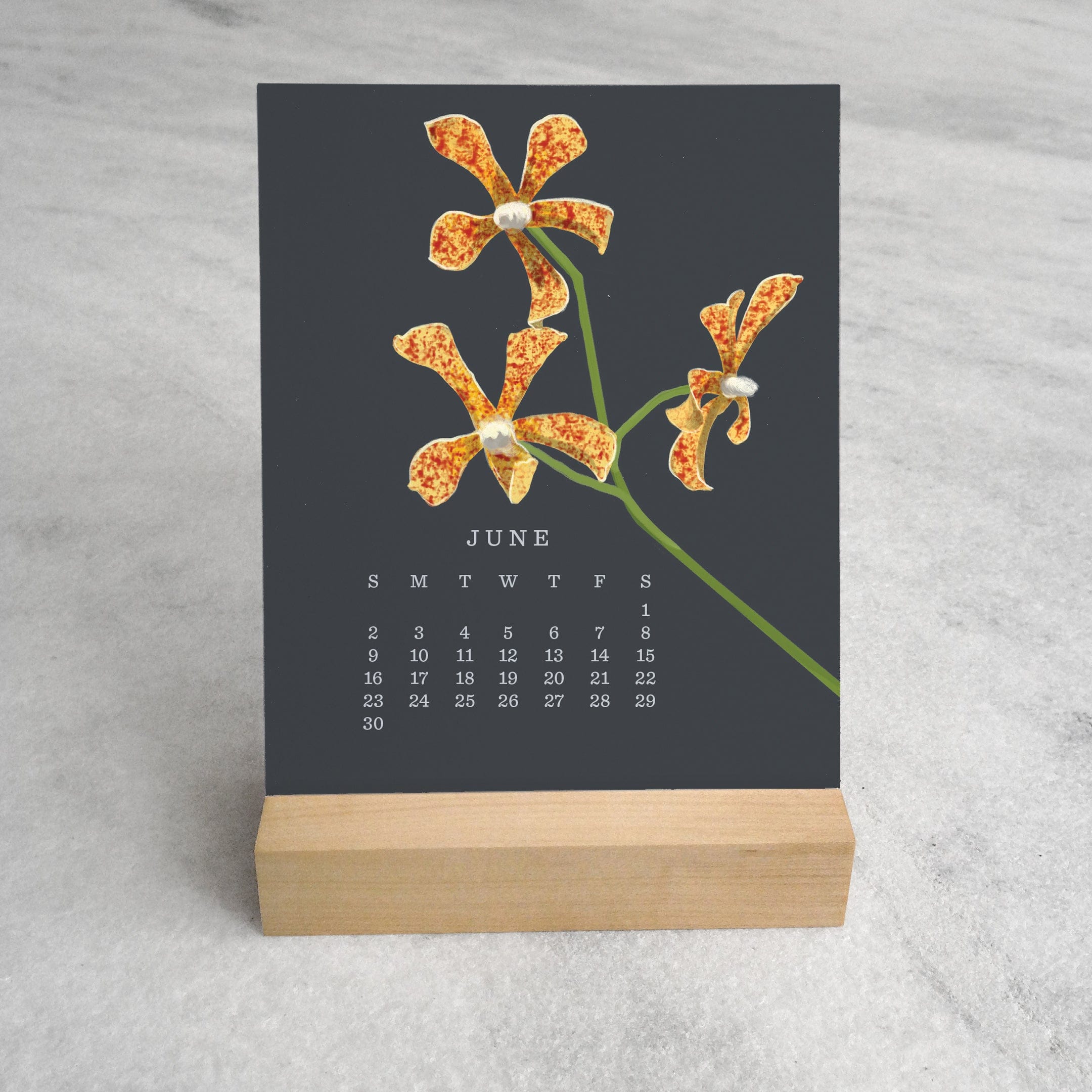Favorite Story Desk Calendar Orchid 2024 Desk Calendar