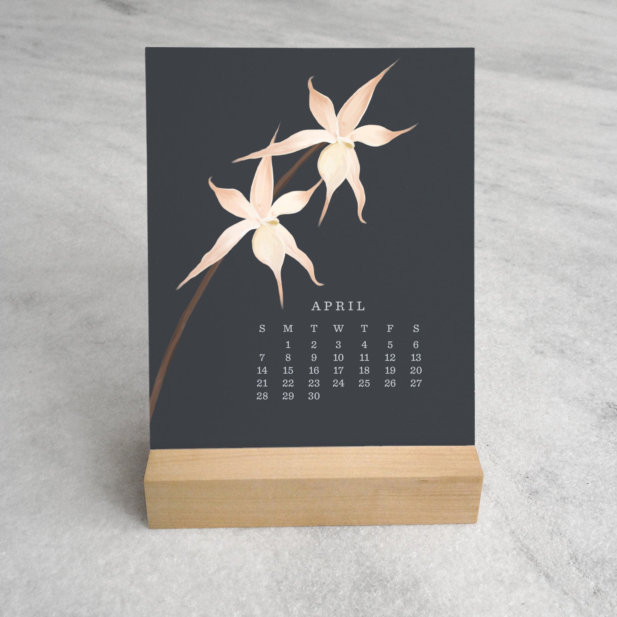 Favorite Story Desk Calendar Orchid 2024 Desk Calendar