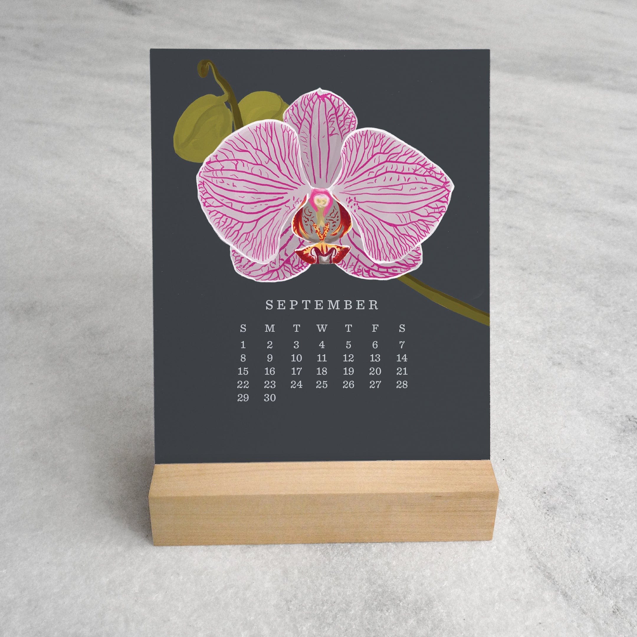 Favorite Story Desk Calendar Orchid 2024 Desk Calendar