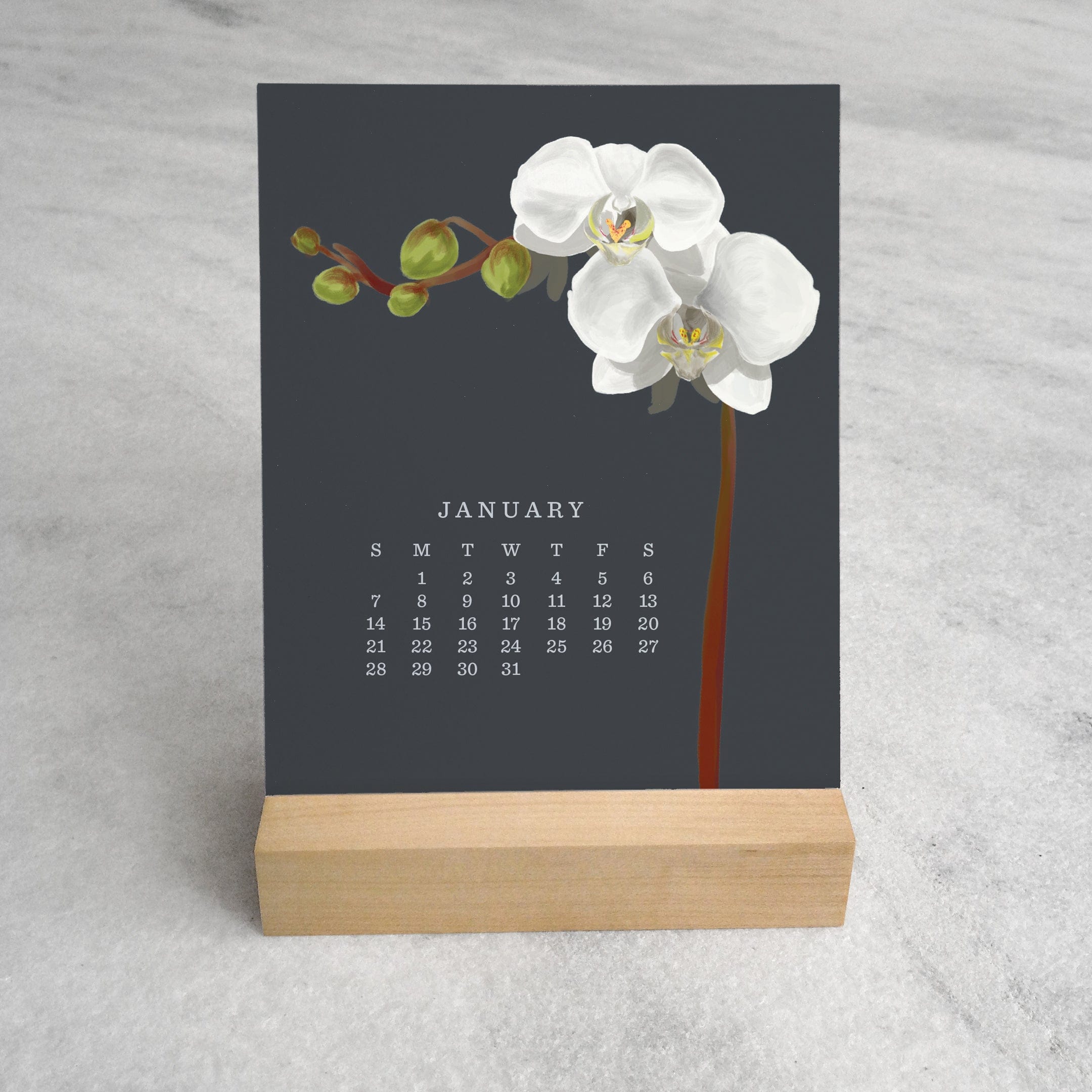 Favorite Story Desk Calendar Orchid 2024 Desk Calendar