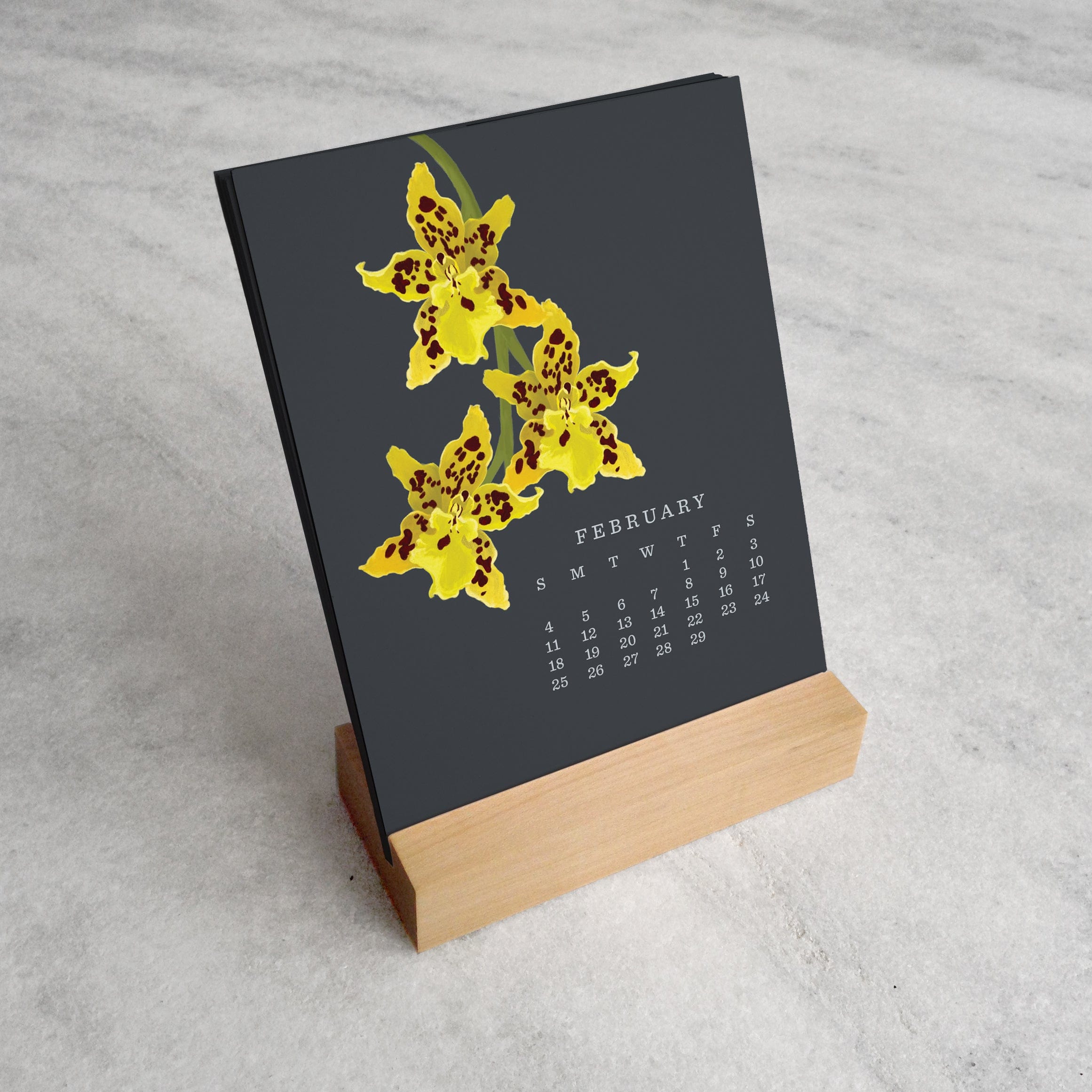 Favorite Story Desk Calendar Orchid 2024 Desk Calendar