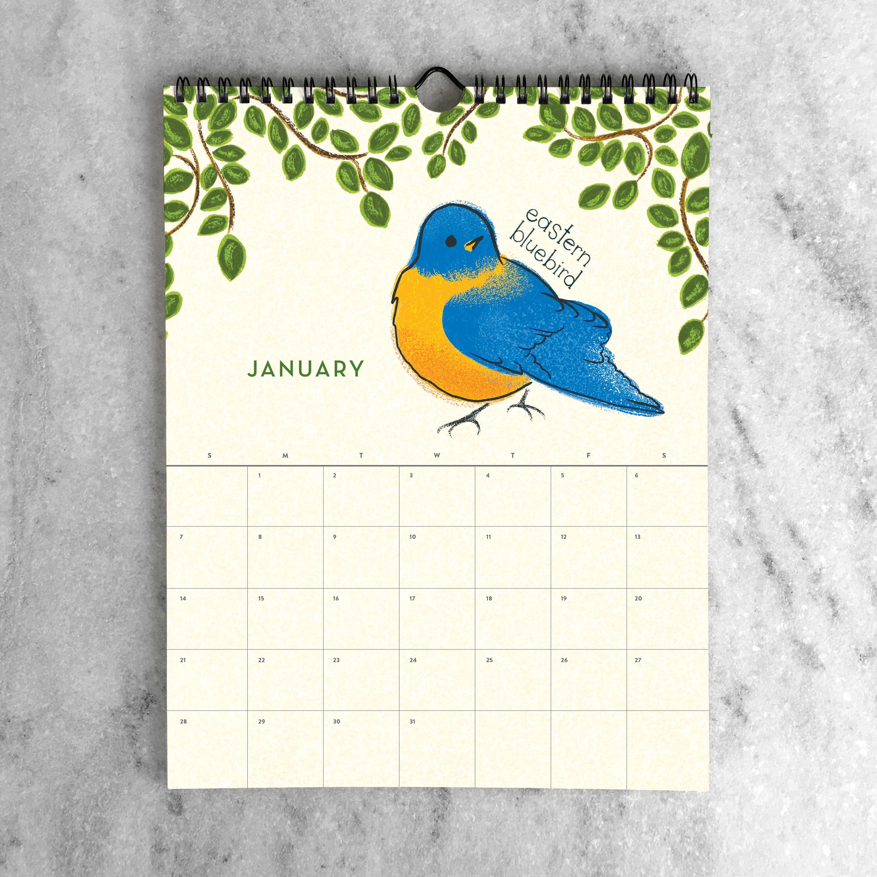 Favorite Story Wall Calendar Feathered Friends 2024 Wall Calendar