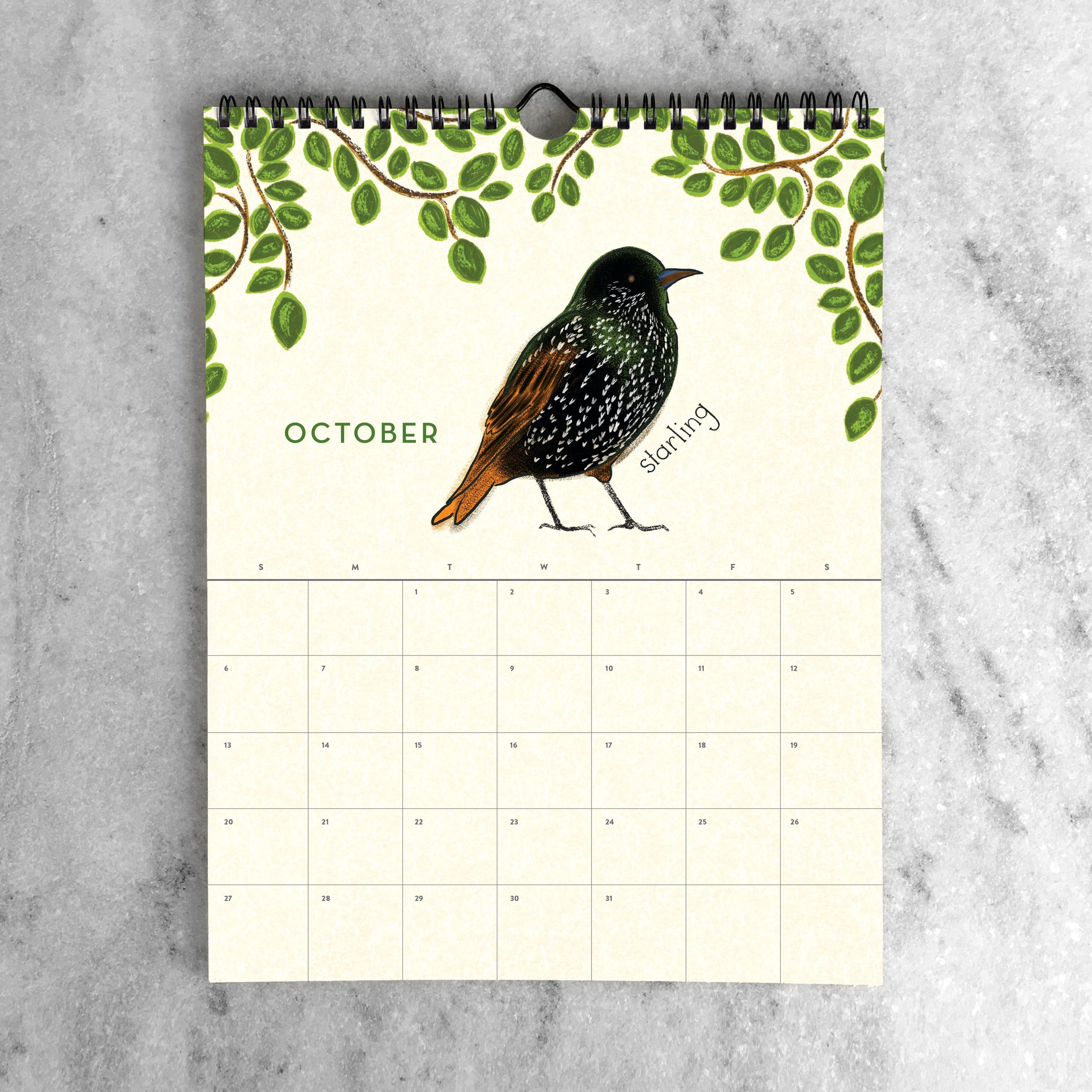 Favorite Story Wall Calendar Feathered Friends 2024 Wall Calendar