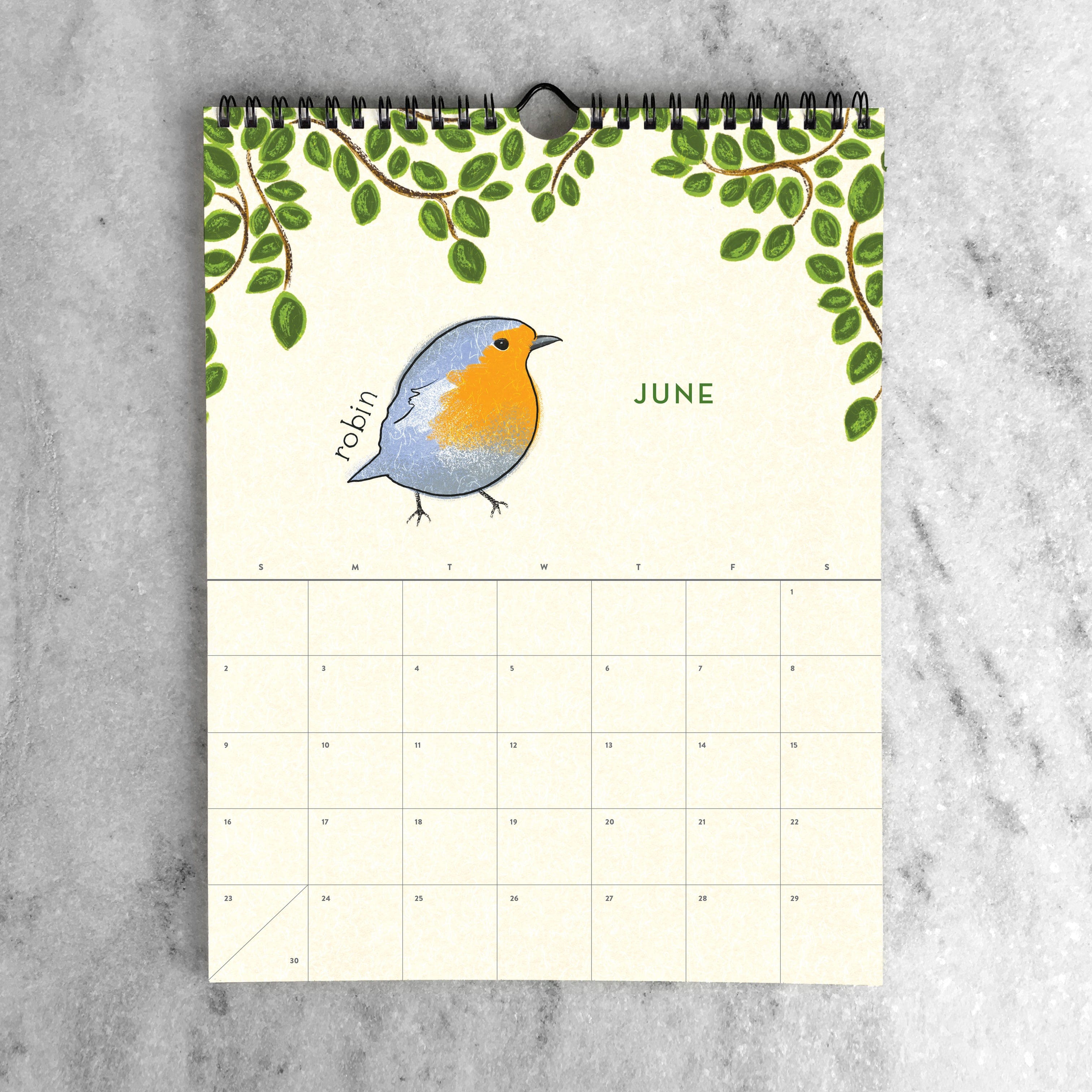 Favorite Story Wall Calendar Feathered Friends 2024 Wall Calendar