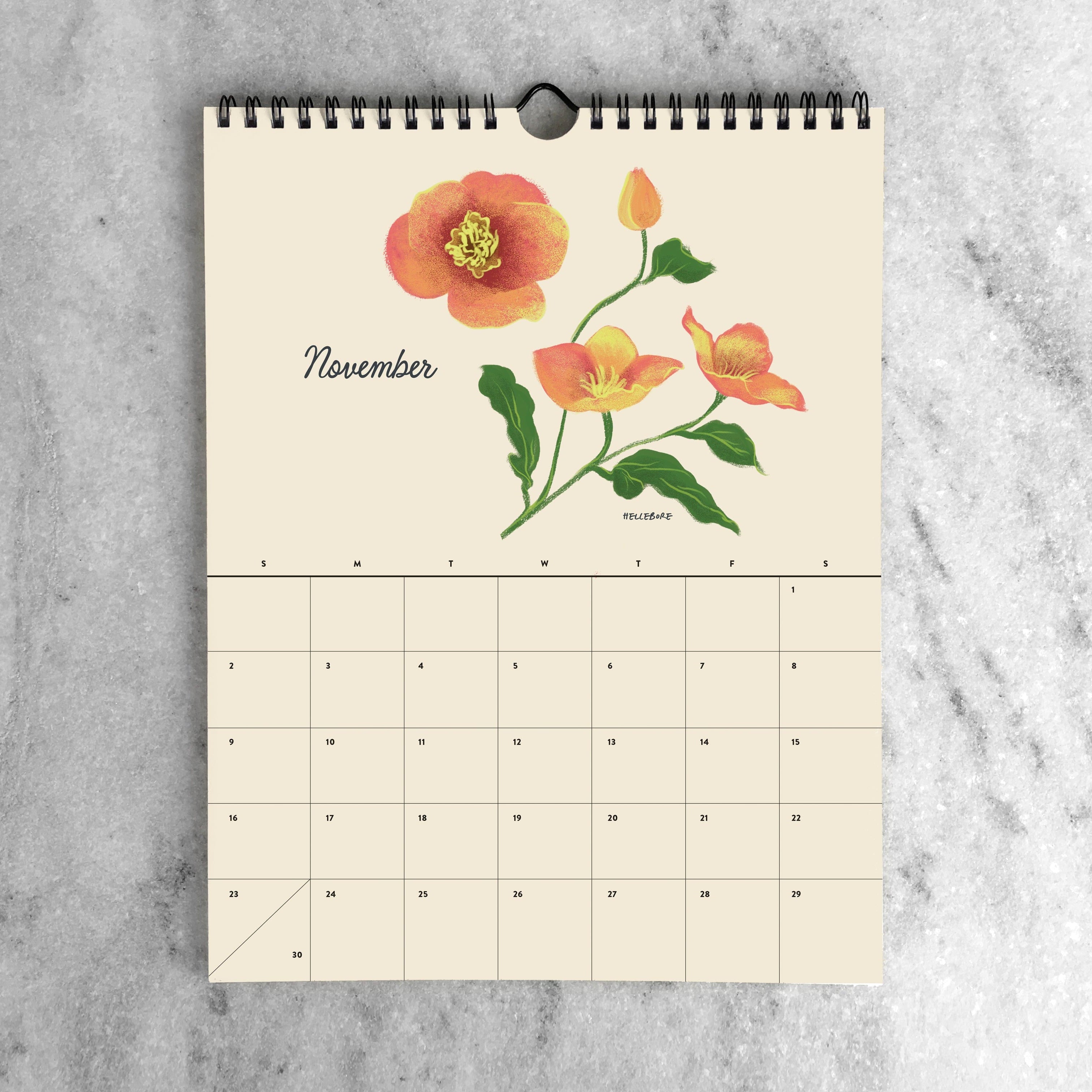 Favorite Story Monthly Calendar Botanicals 2025 2025 Monthly Calendar