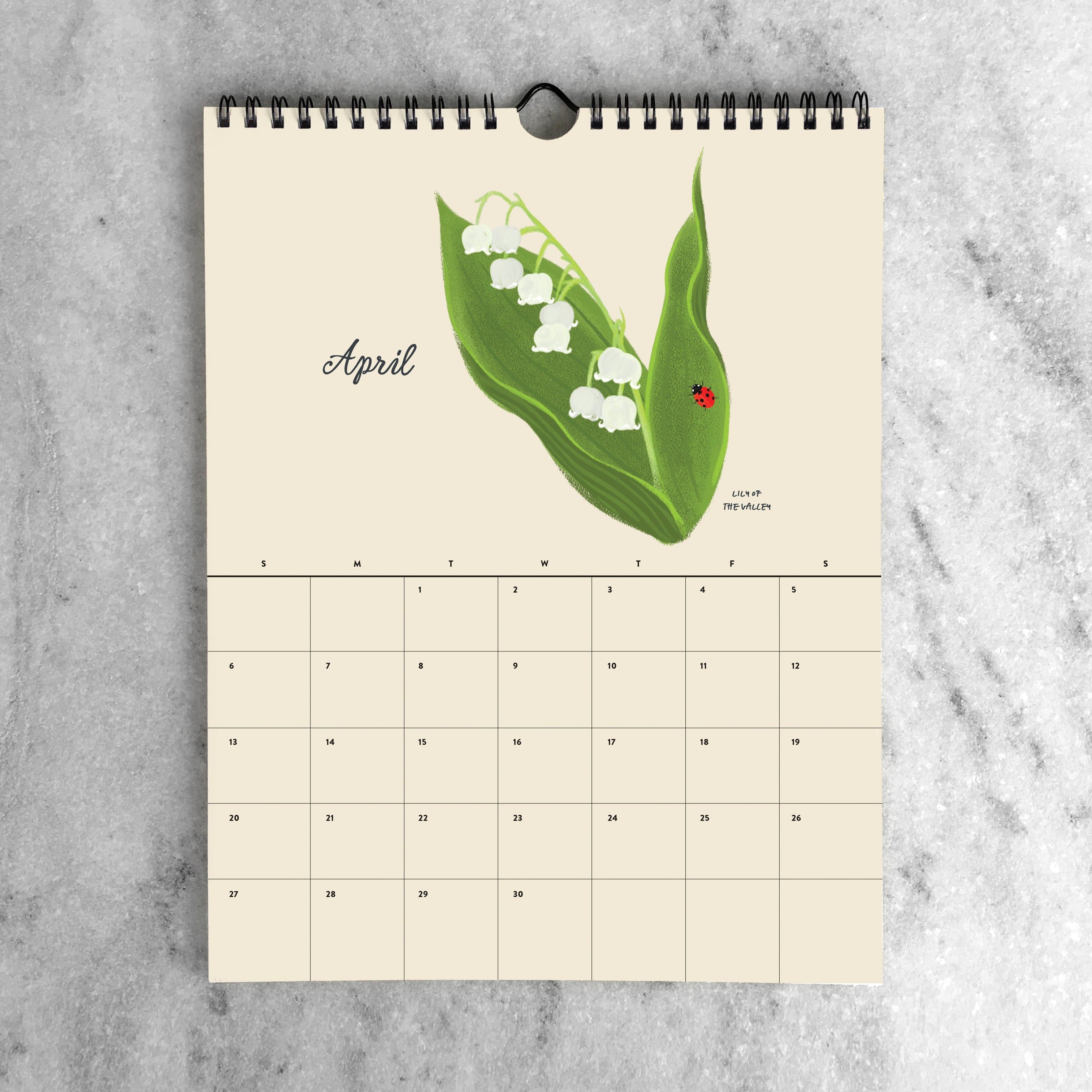 Favorite Story Monthly Calendar Botanicals 2025 2025 Monthly Calendar