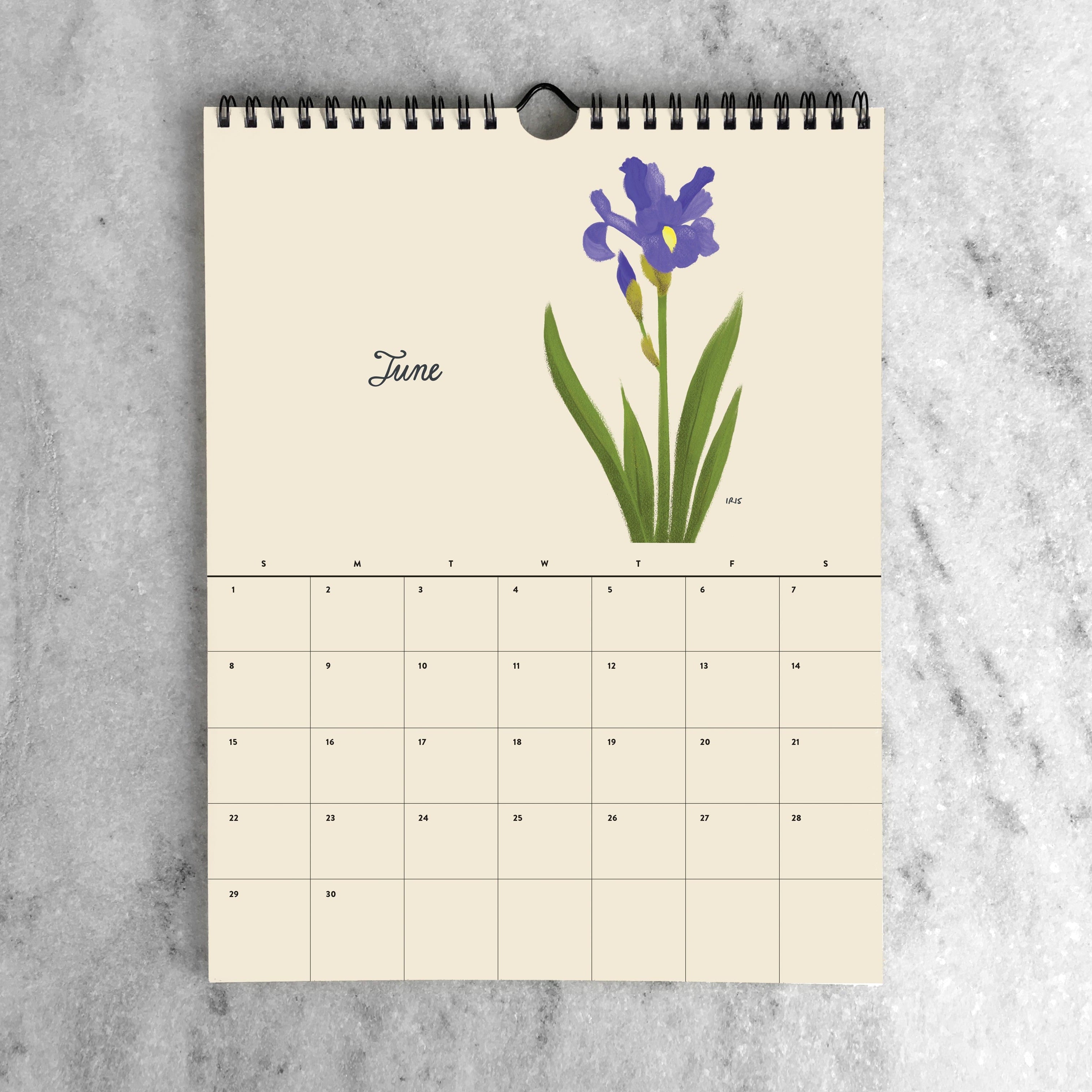 Favorite Story Monthly Calendar Botanicals 2025 2025 Monthly Calendar