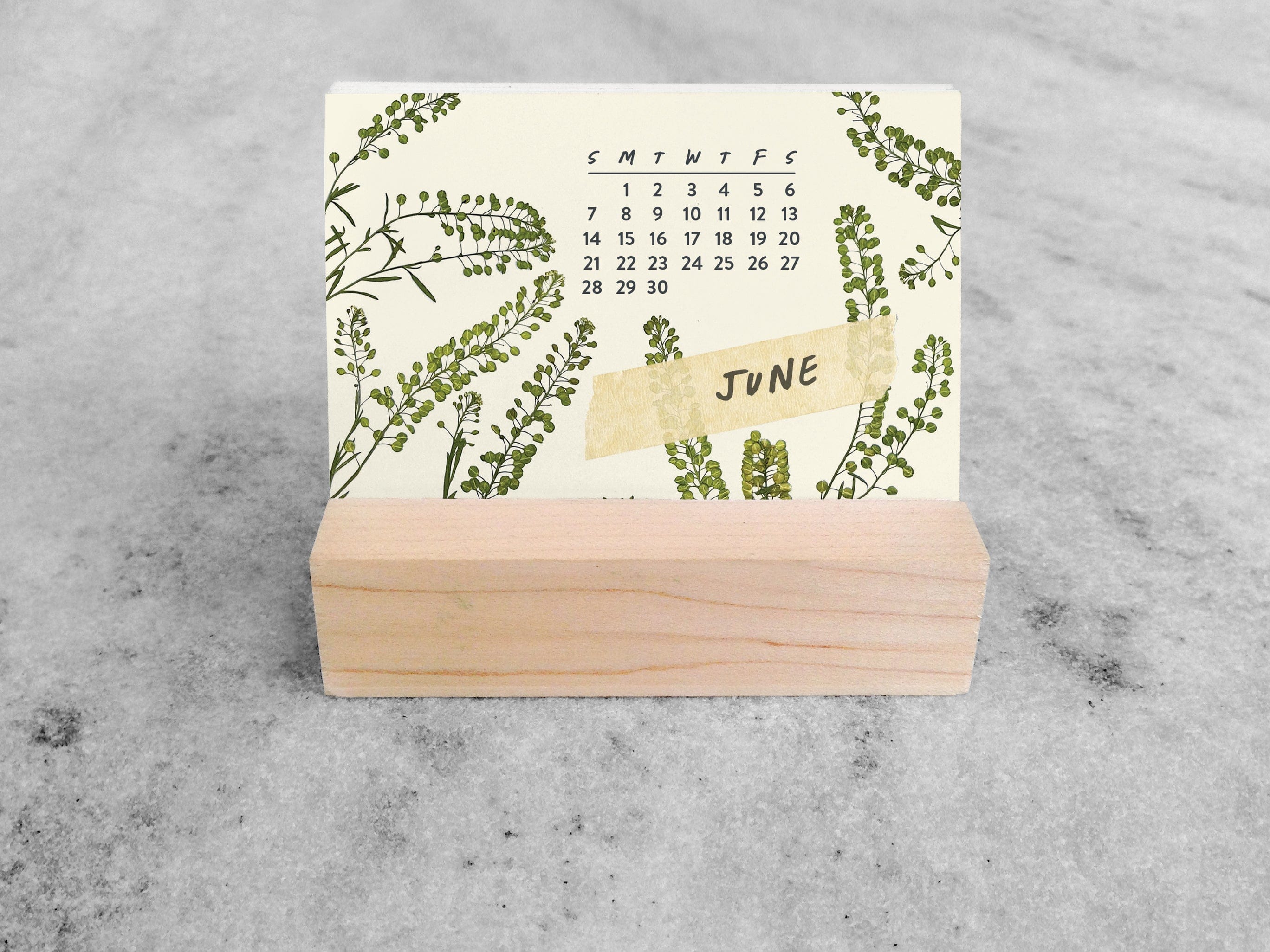 Favorite Story Mini Desk Calendar Favorite Story 2026 Mini Desk Calendar, Butterflies