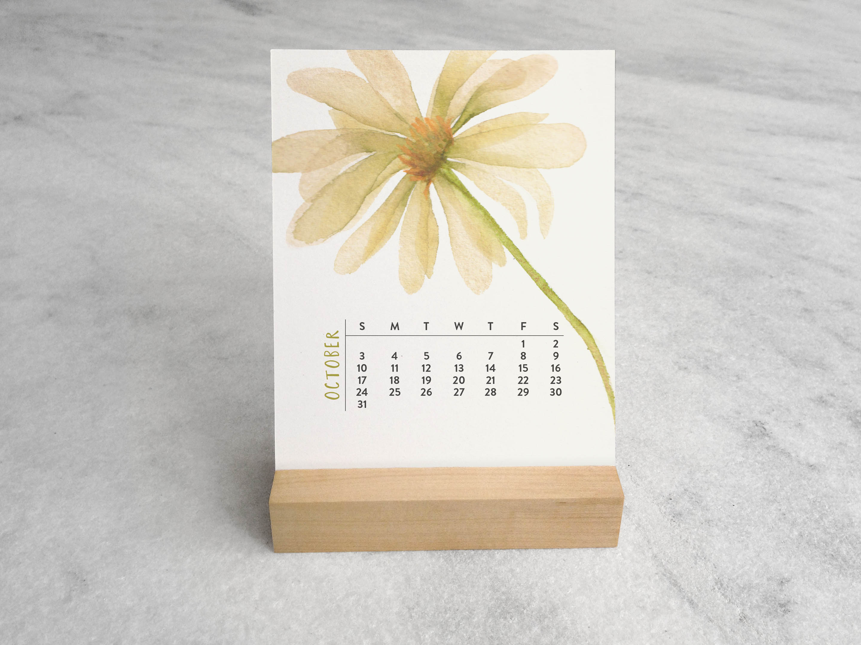 Favorite Story Desk Calendar Favorite Story 2027 Desk Calendar, Blooms