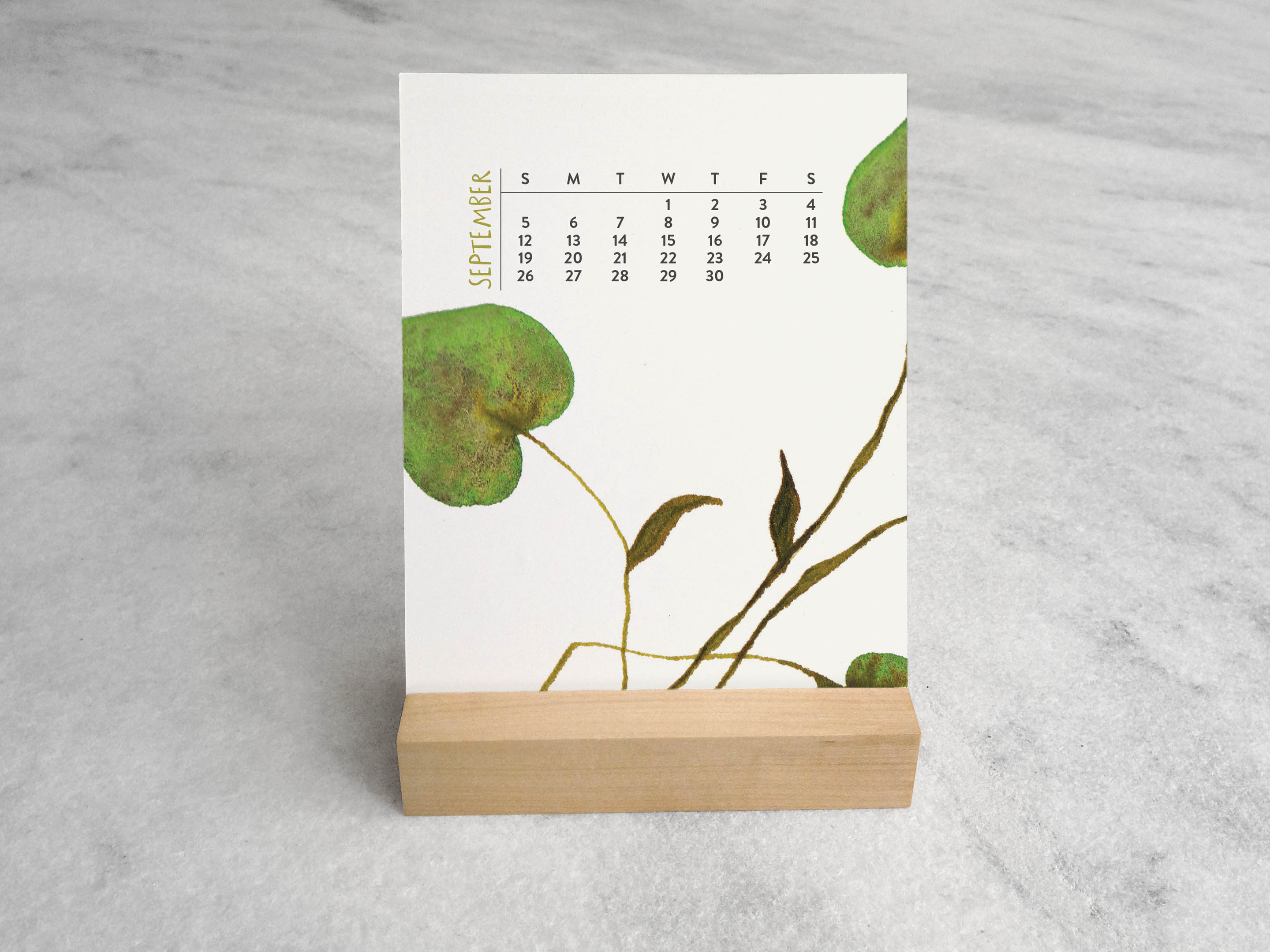 Favorite Story Desk Calendar Favorite Story 2027 Desk Calendar, Blooms
