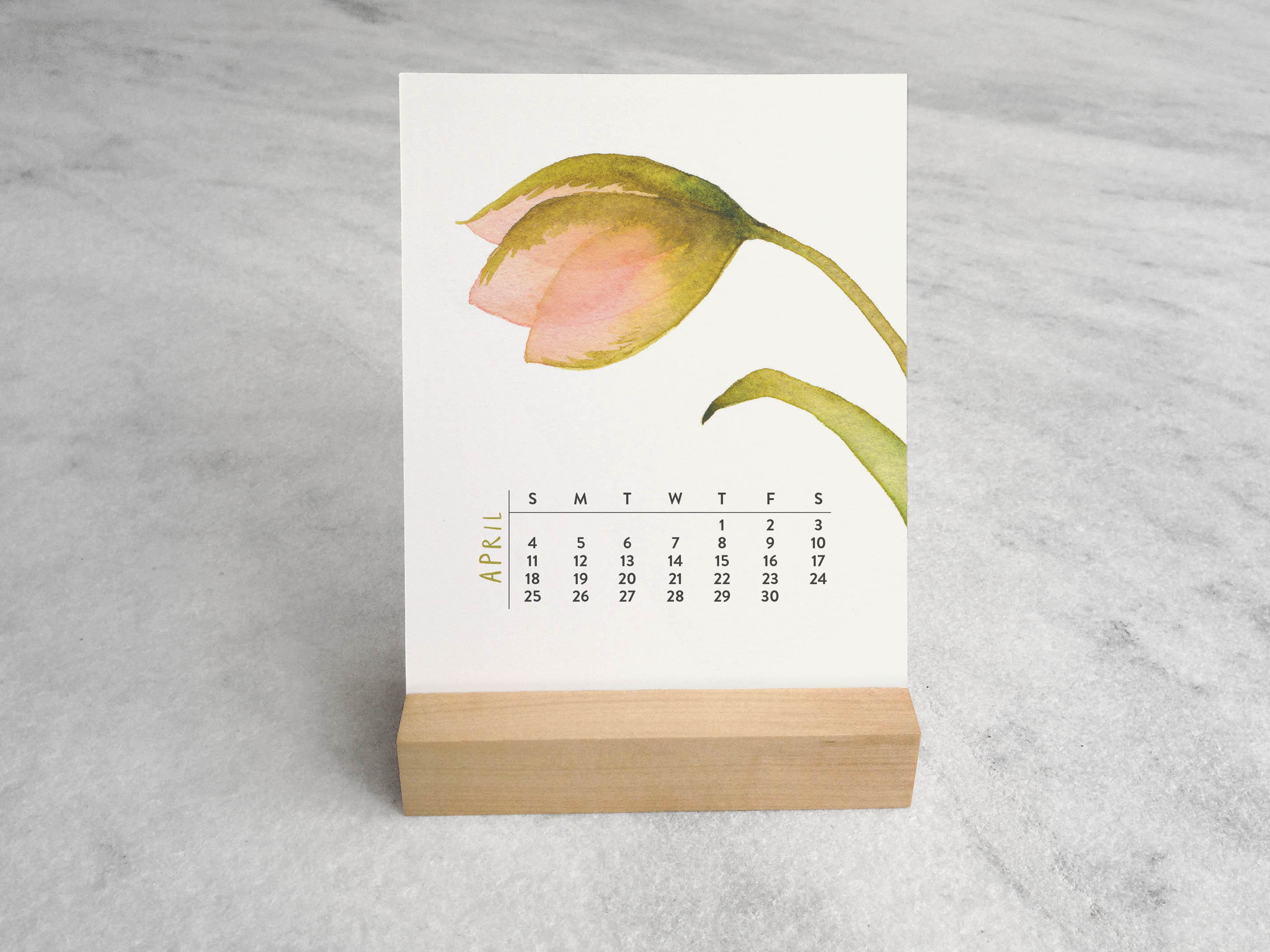 Favorite Story Desk Calendar Favorite Story 2027 Desk Calendar, Blooms