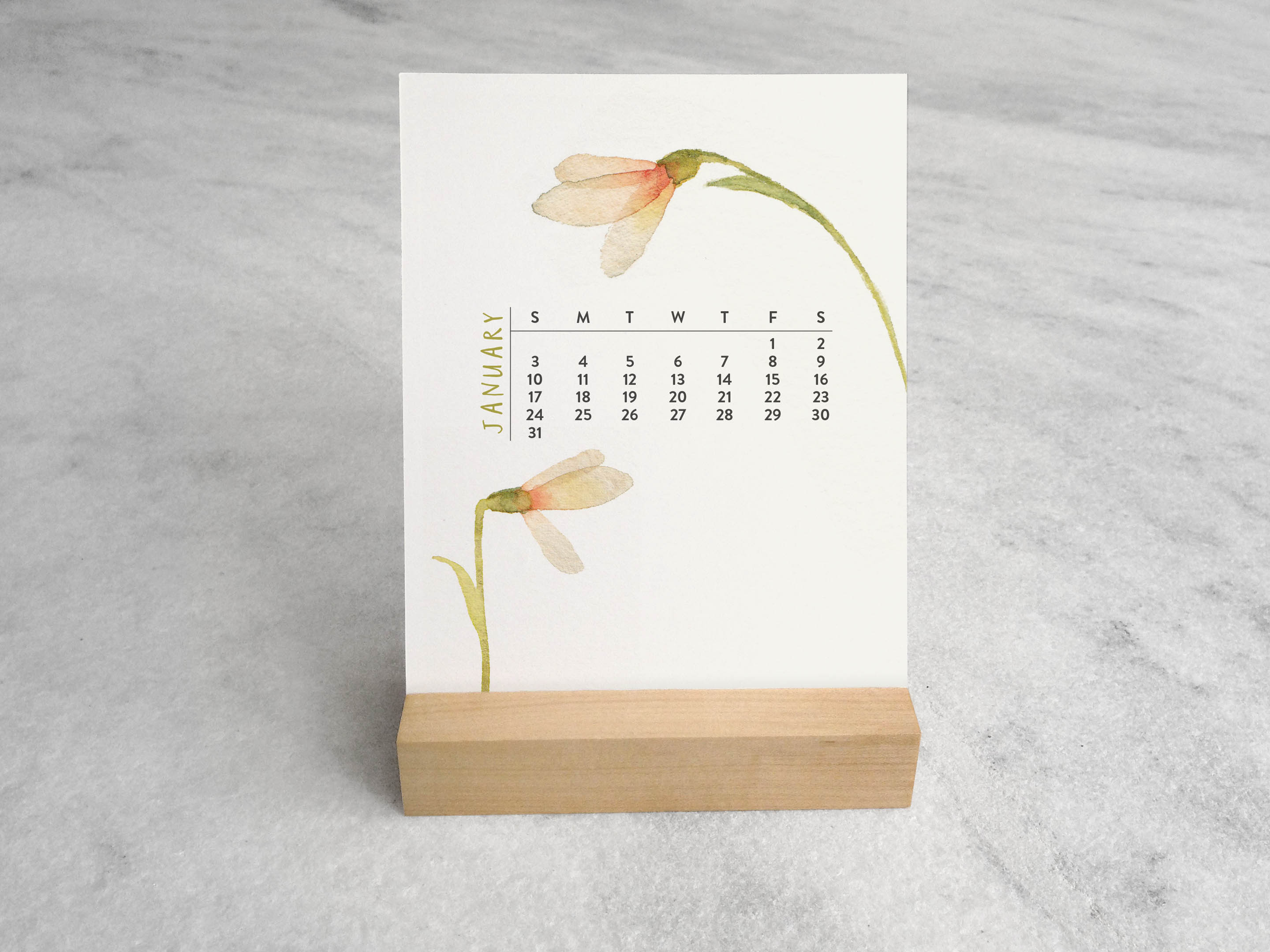 Favorite Story Desk Calendar Favorite Story 2027 Desk Calendar, Blooms