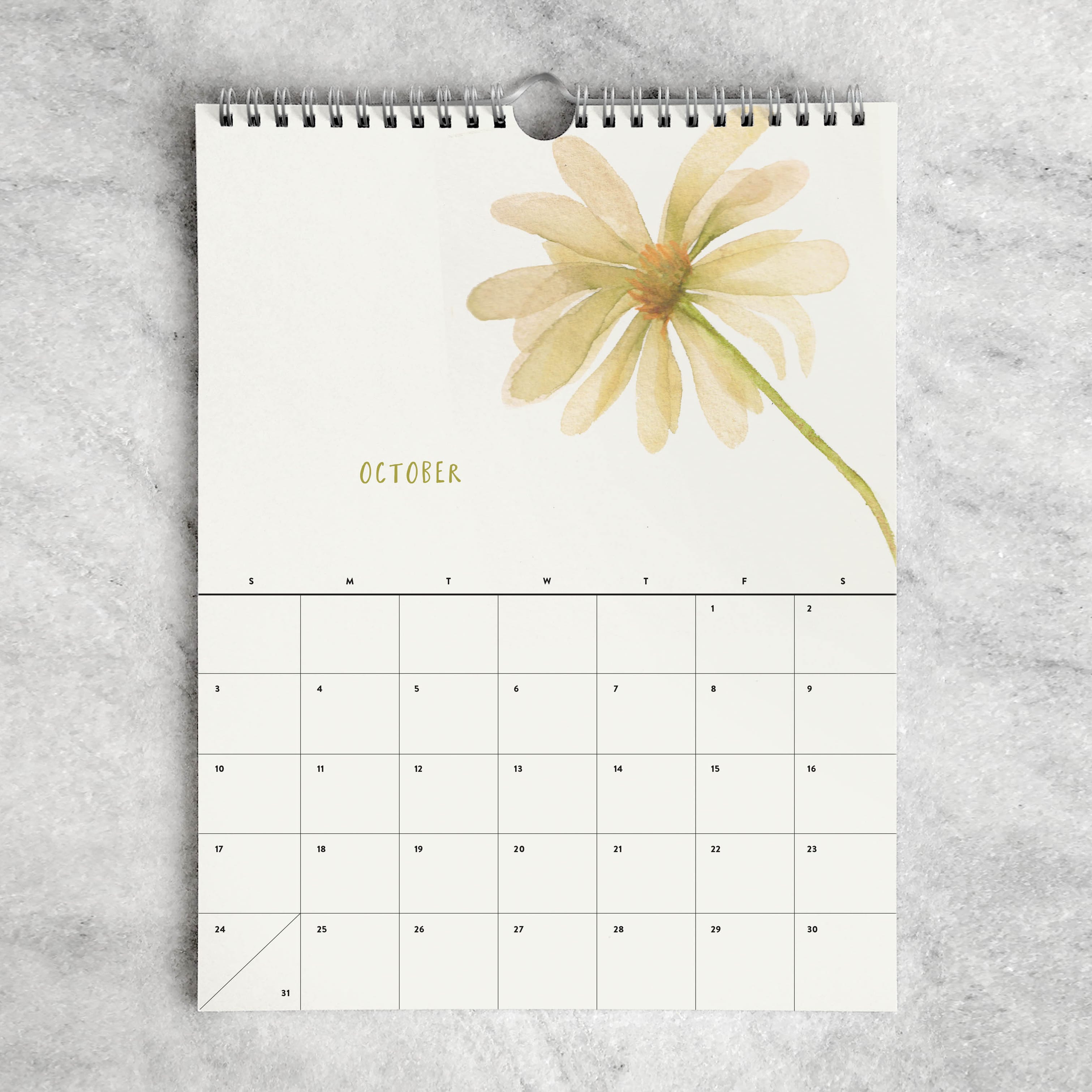Favorite Story Monthly Calendar Favorite Story 2027 2027 Monthly Calendar, Blooms