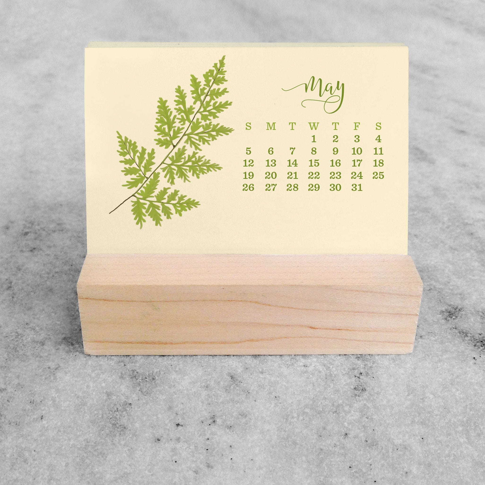 Favorite Story Mini Desk Calendar Fern 2023/2024 Mini Desk Calendar