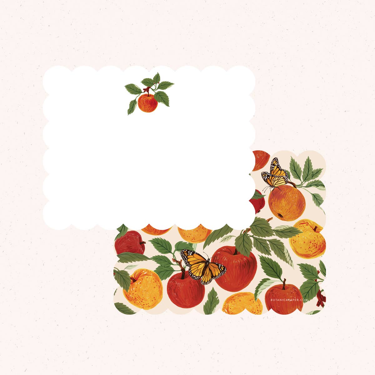Favorite Story Botanica Paper Co. APPLE ORCHARD Notecards | Set of 4