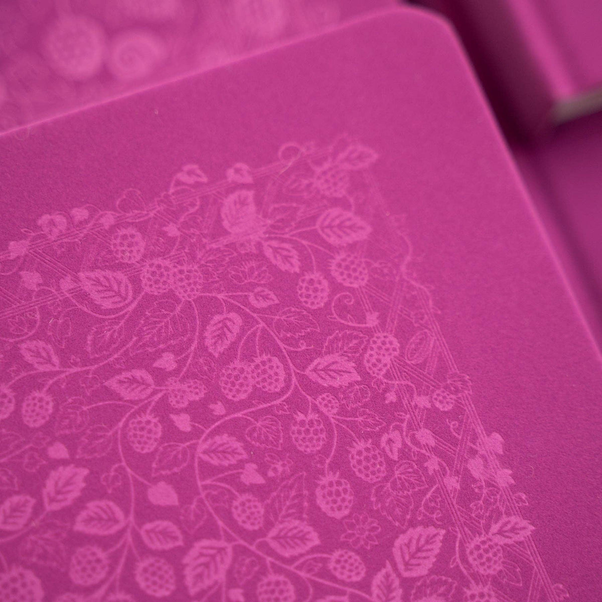 Favorite Story Archer and Olive Berries & Vines | Notebook