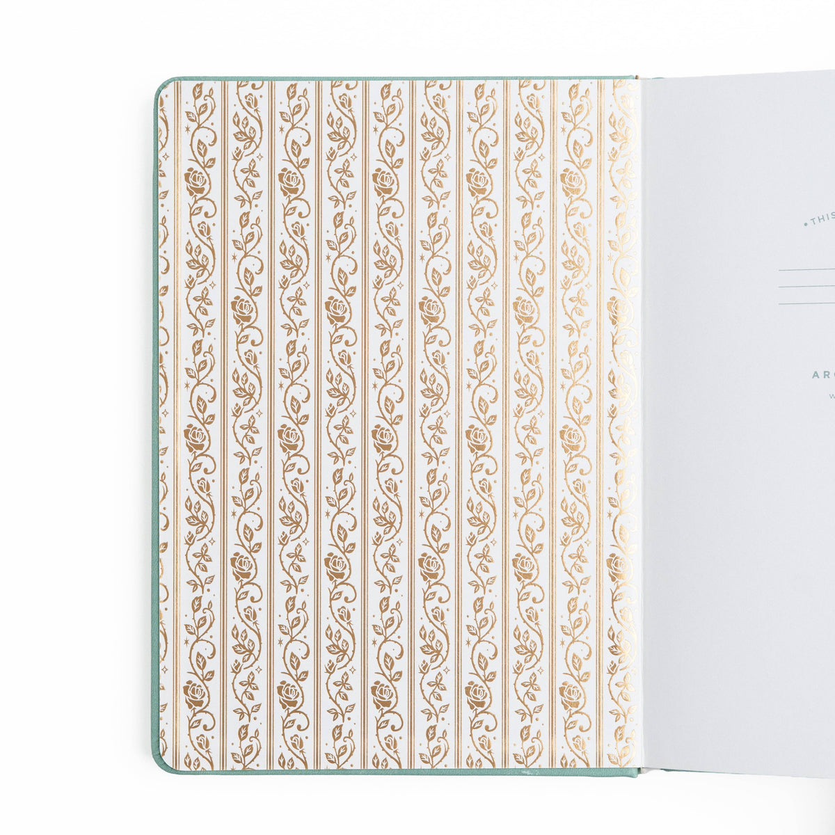 Favorite Story Archer and Olive Dot Grid / IN STOCK / TN: 144 Pages Books of Beauty Notebook