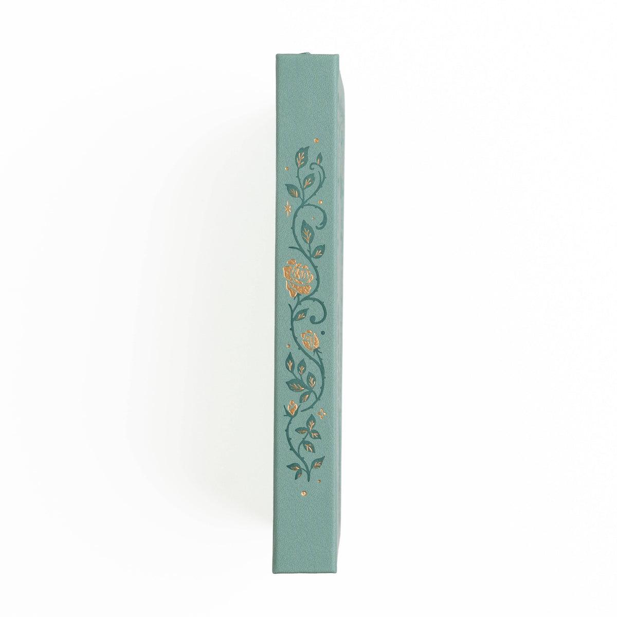 Favorite Story Archer and Olive Dot Grid / IN STOCK / TN: 144 Pages Books of Beauty Notebook
