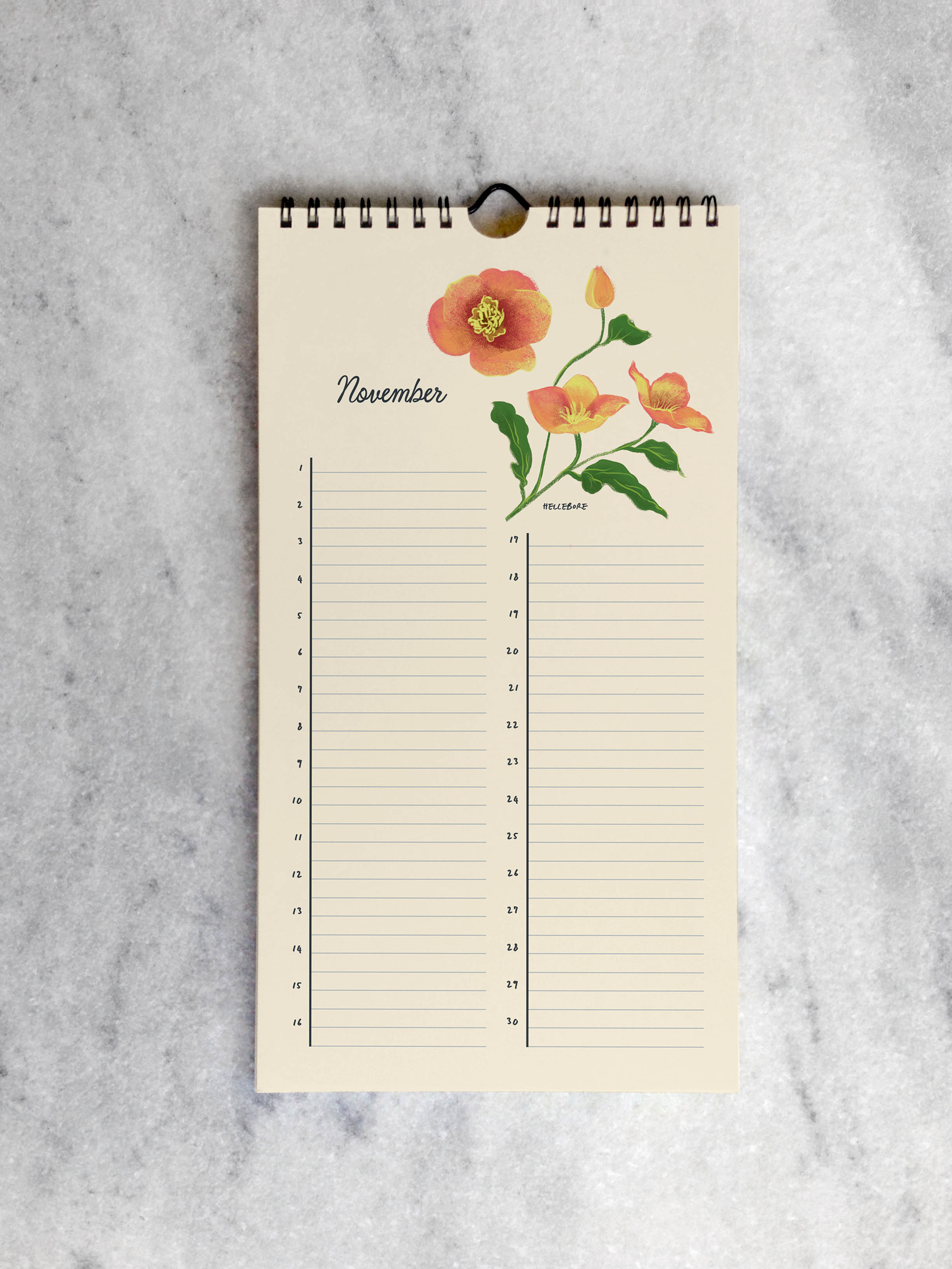 Favorite Story Celebration Calendar Botanicals Celebration Calendar