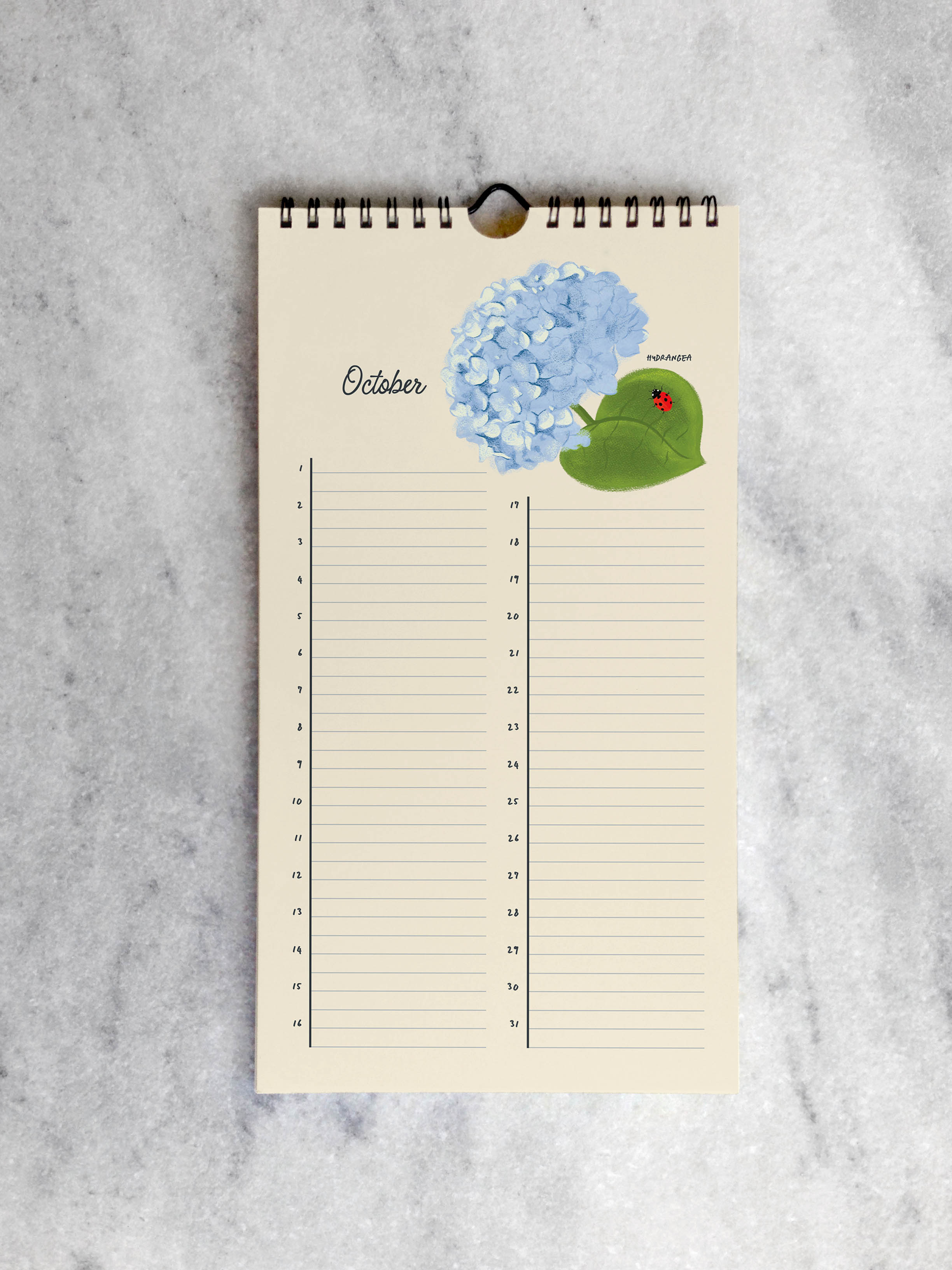 Favorite Story Celebration Calendar Botanicals Celebration Calendar