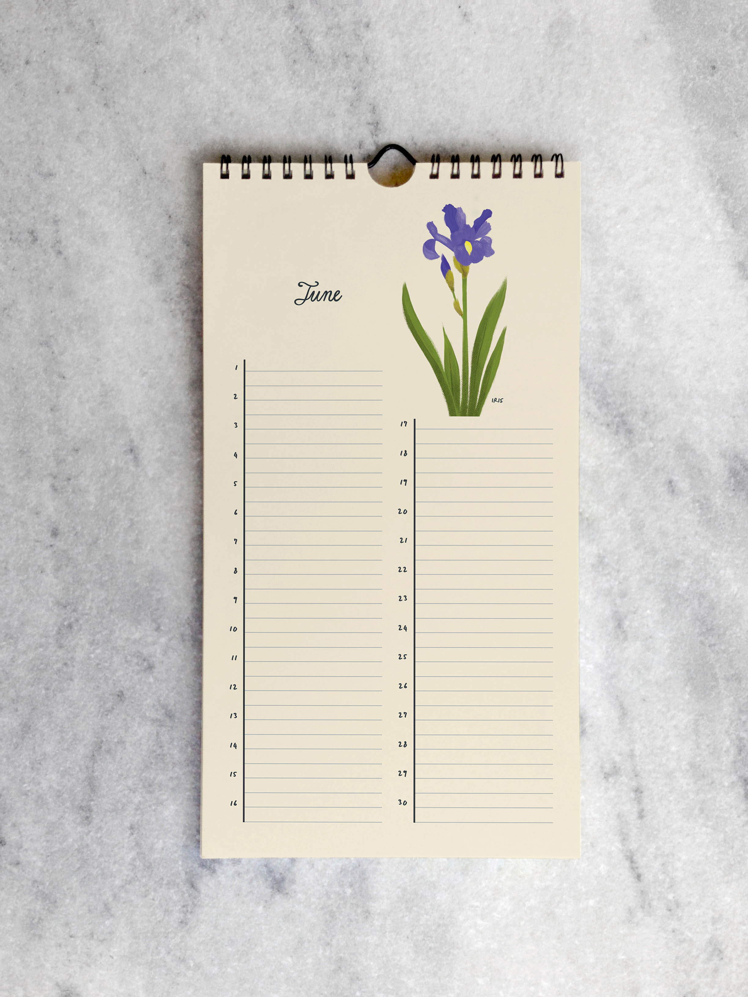 Favorite Story Celebration Calendar Botanicals Celebration Calendar