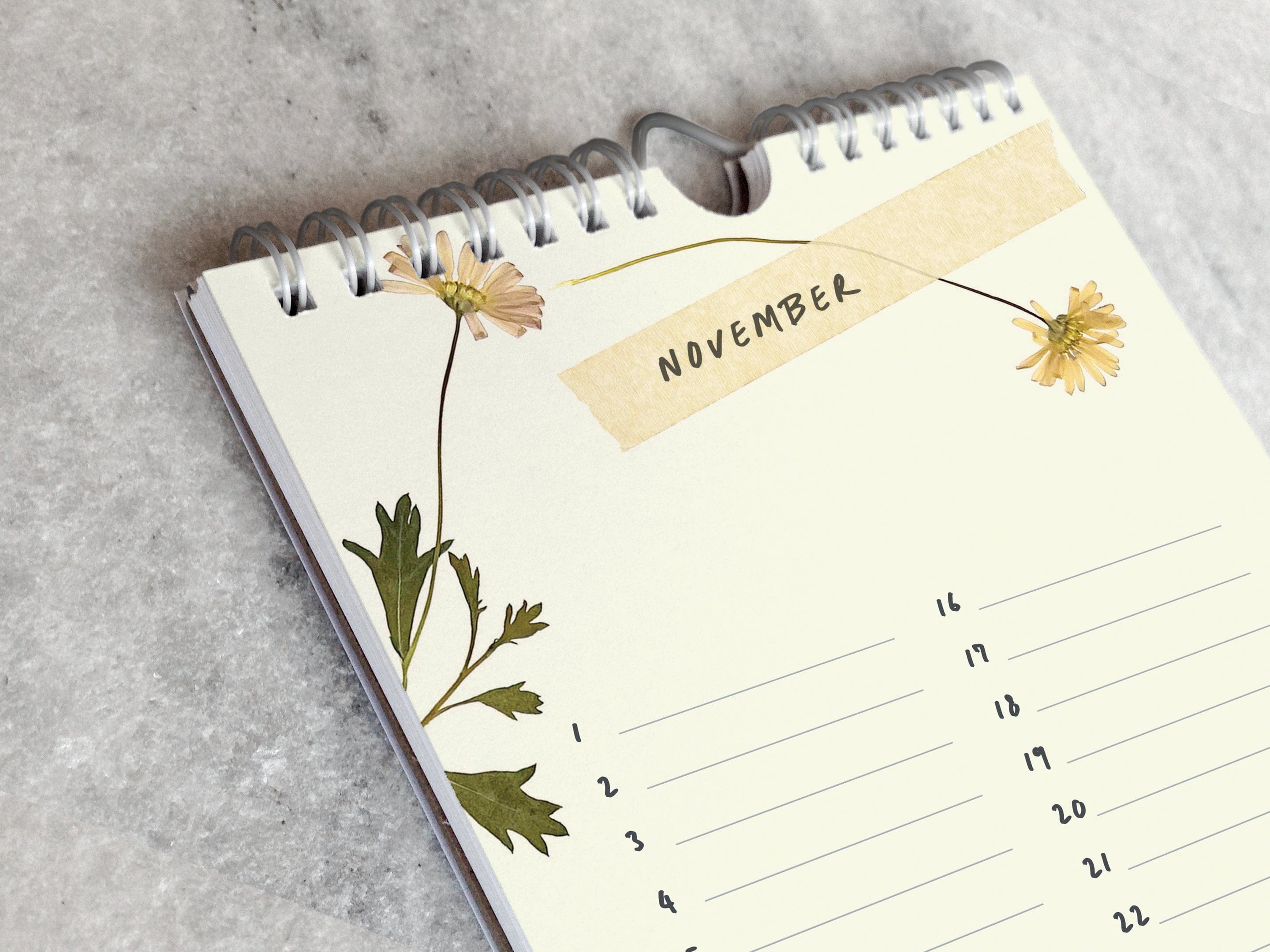 Favorite Story Celebration Calendar Field Flowers Celebration Calendar, Pressed Flowers