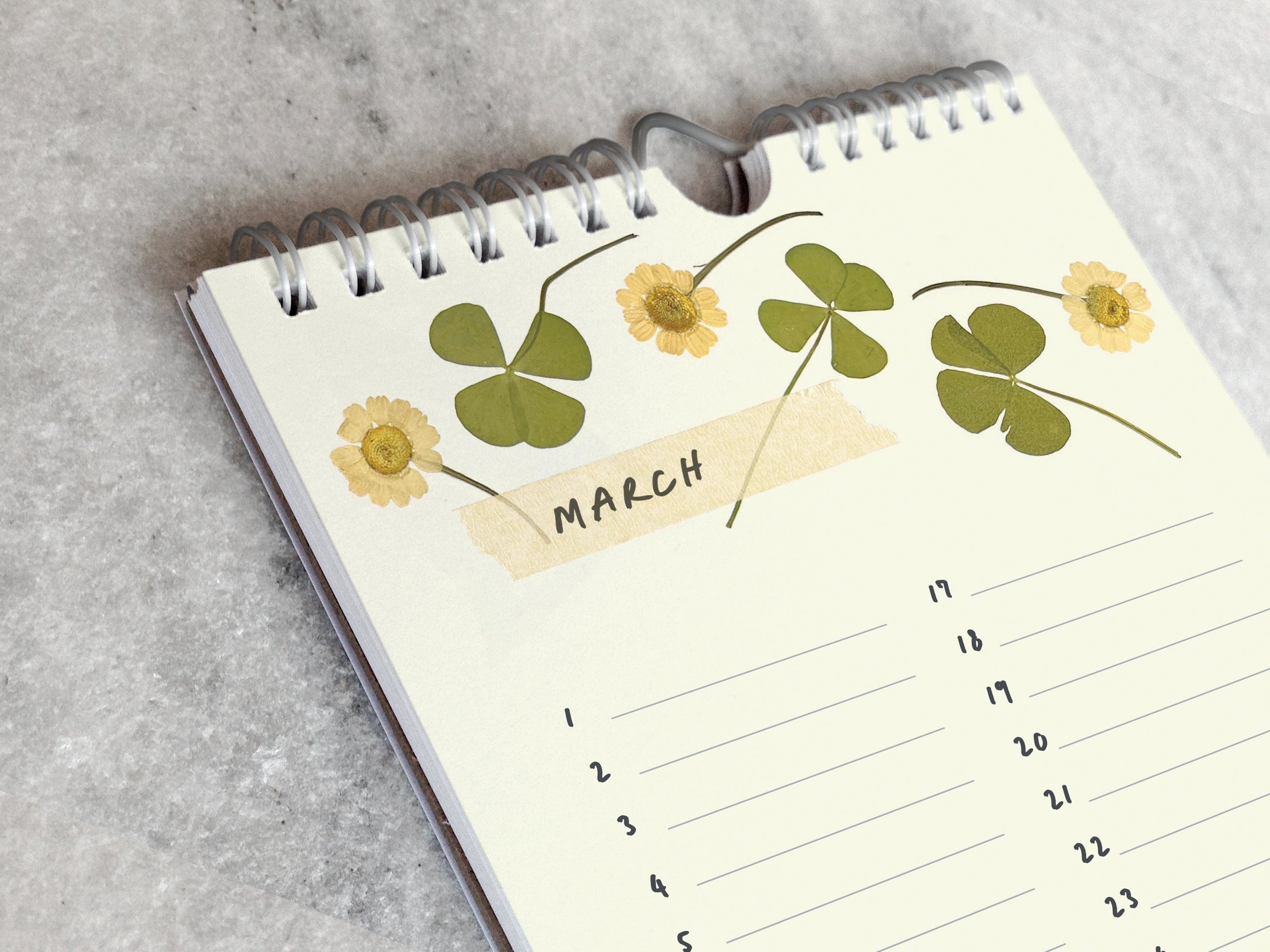 Favorite Story Celebration Calendar Field Flowers Celebration Calendar, Pressed Flowers