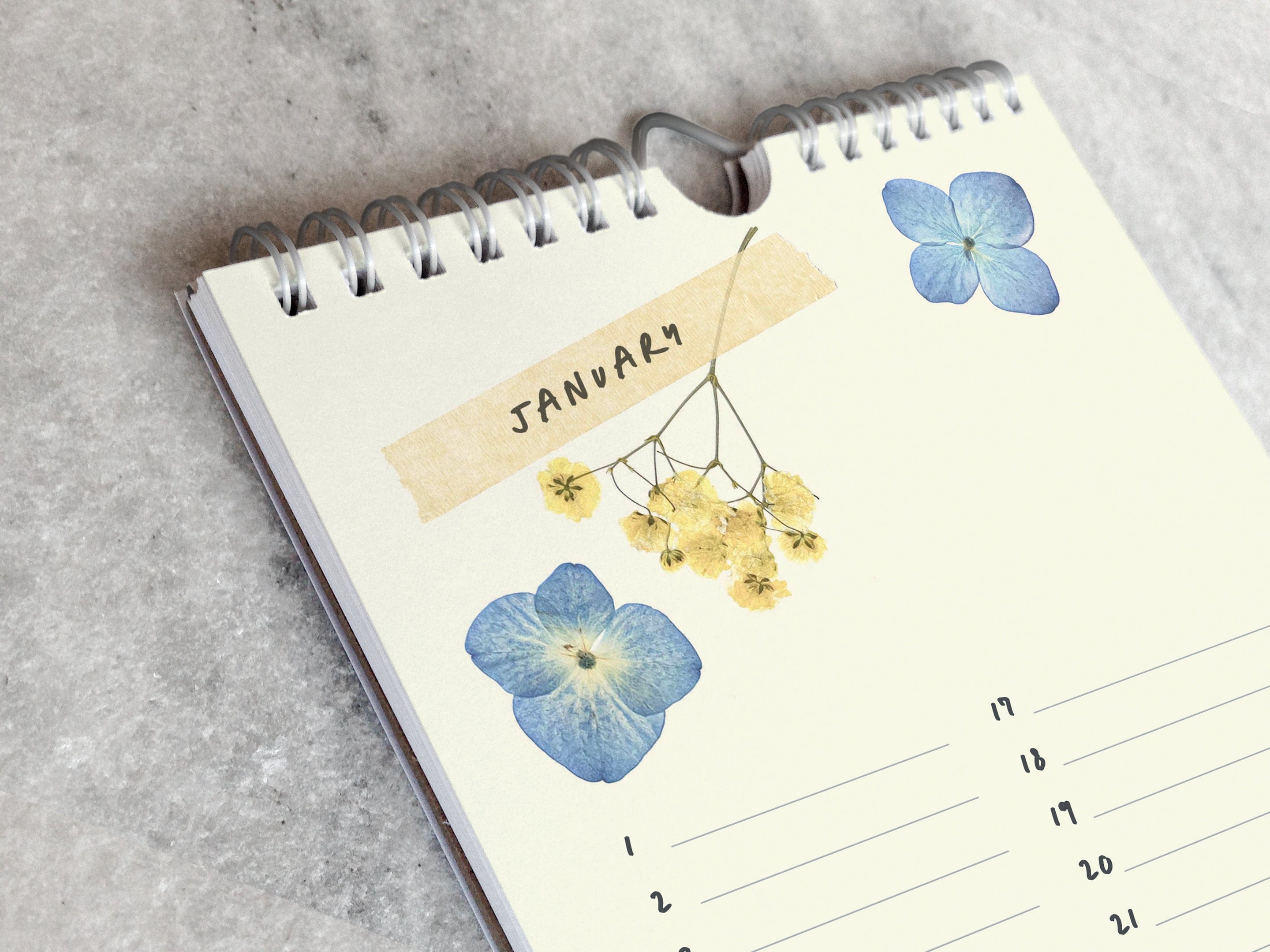 Favorite Story Celebration Calendar Field Flowers Celebration Calendar, Pressed Flowers