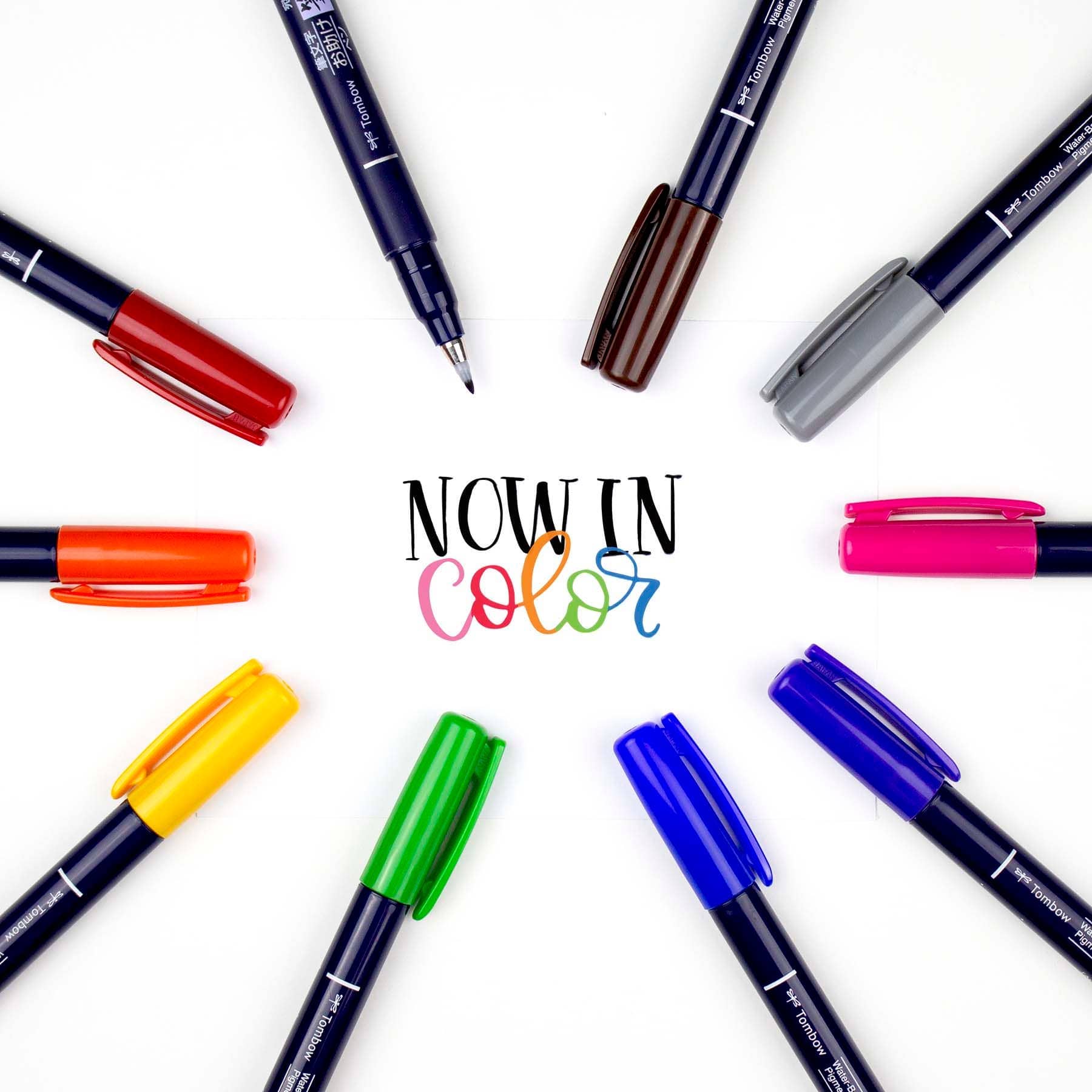 Favorite Story Tombow Fudenosuke Colors Calligraphy Brush Pens - 10-Pack