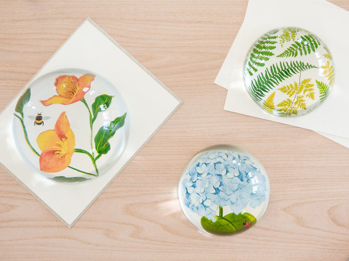 Favorite Story Paperweight Hellebore Glass Dome Paperweight, 100mm