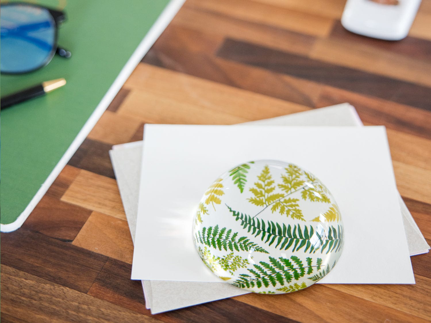 Favorite Story Paperweight Fern Glass Dome Paperweight, 80mm