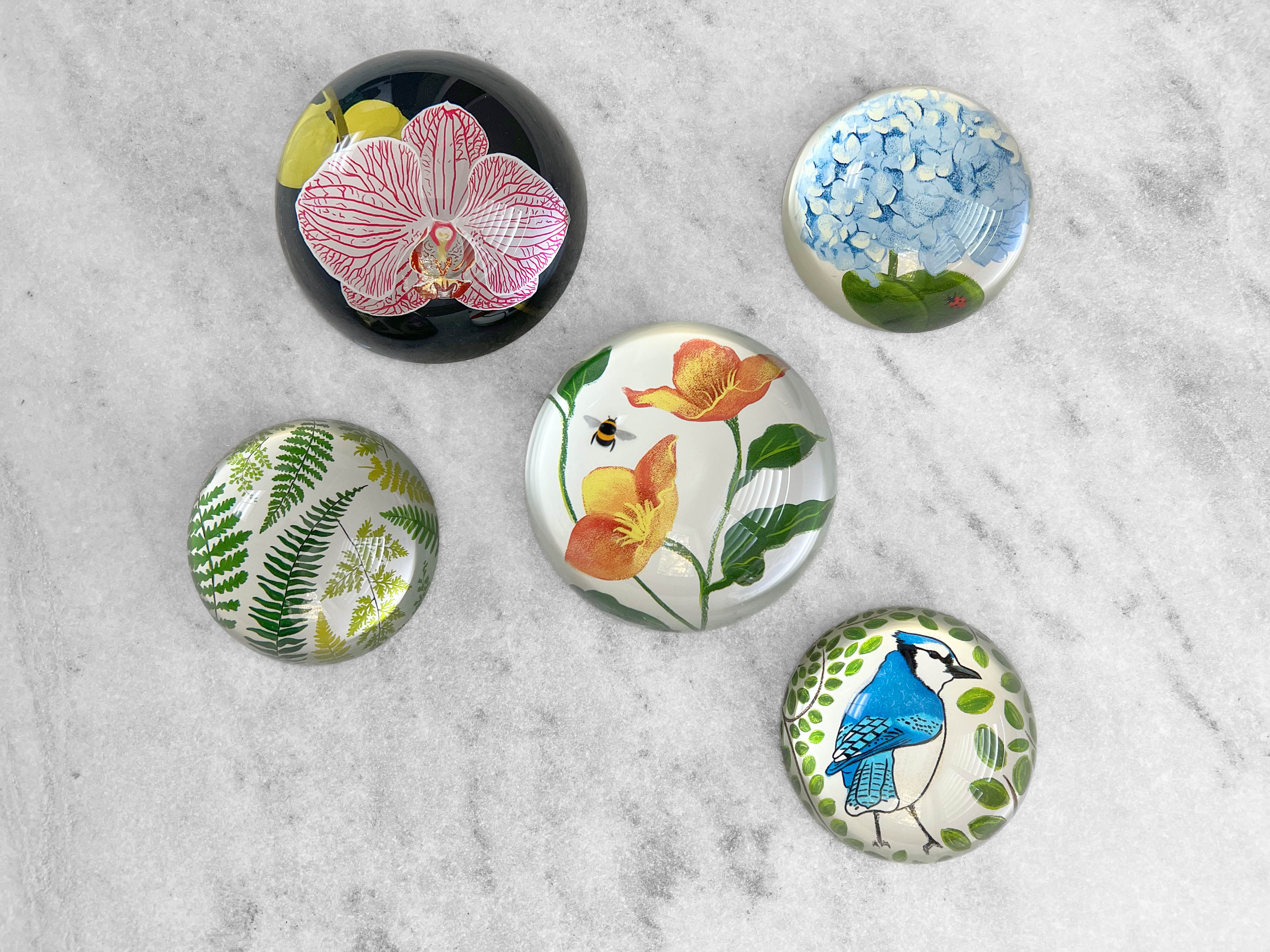 Favorite Story Paperweight 80mm Glass Dome Paperweight - Blue Jay