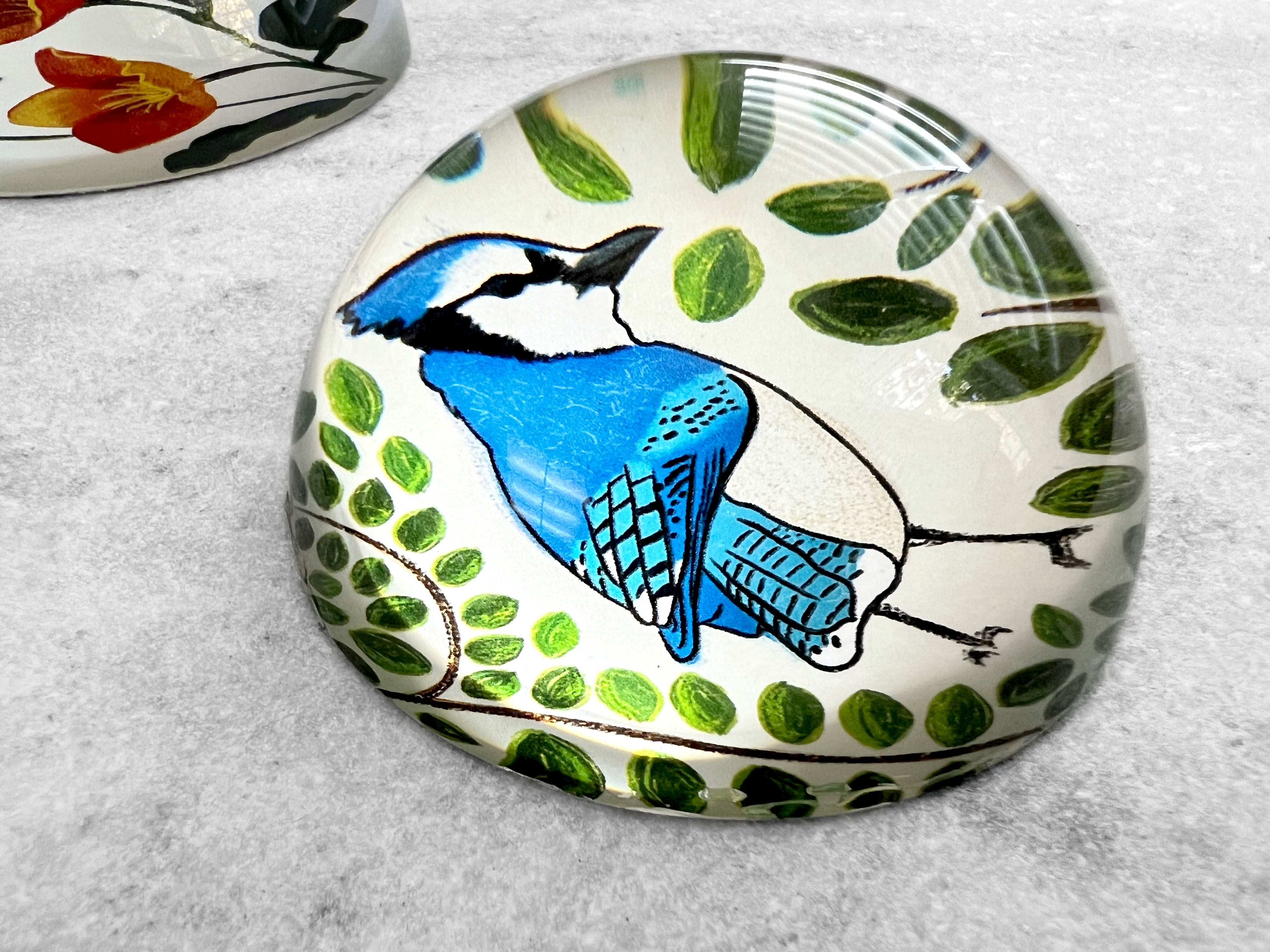 Favorite Story Paperweight 80mm Glass Dome Paperweight - Blue Jay
