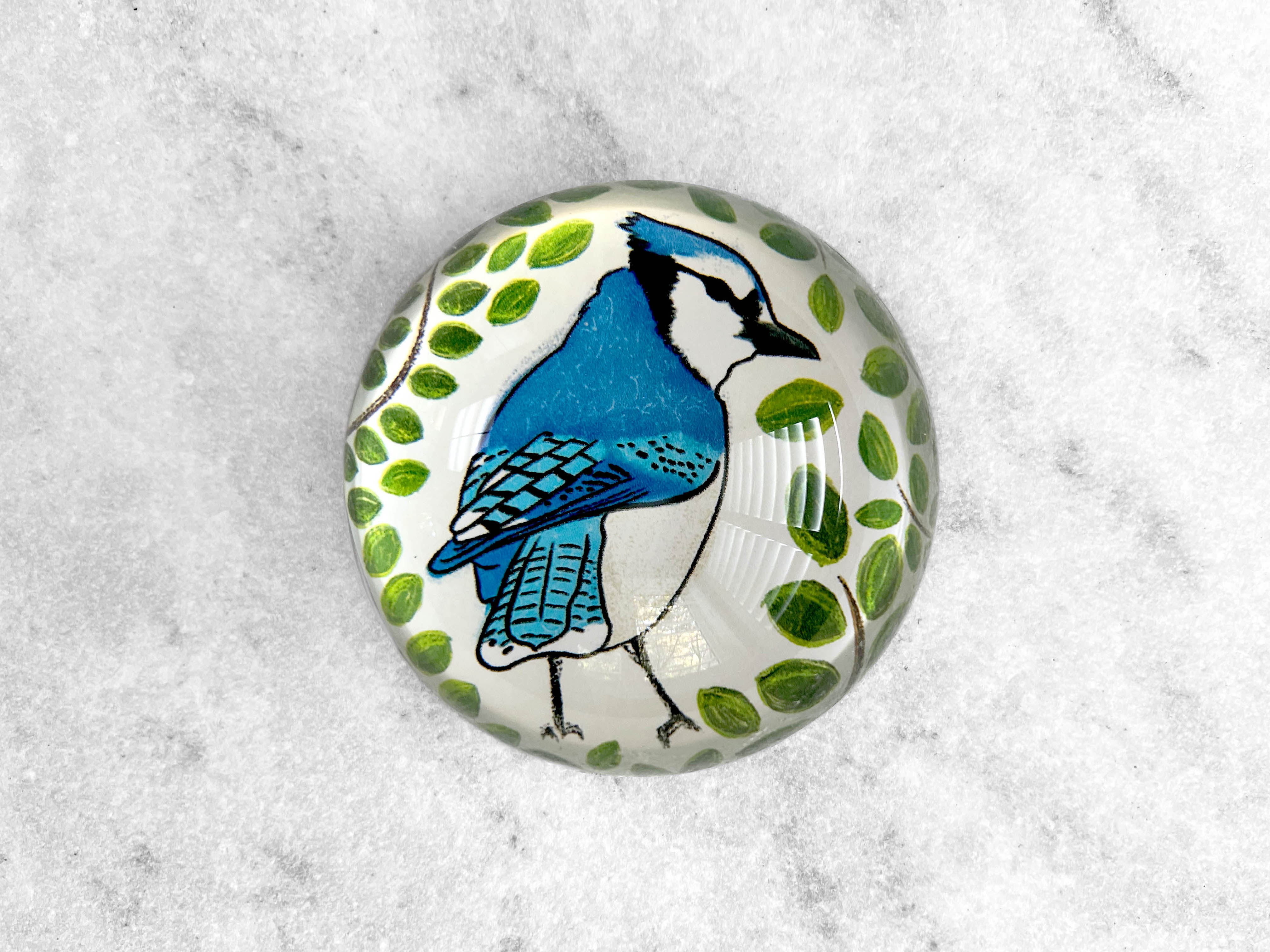 Favorite Story Paperweight 80mm Glass Dome Paperweight - Blue Jay