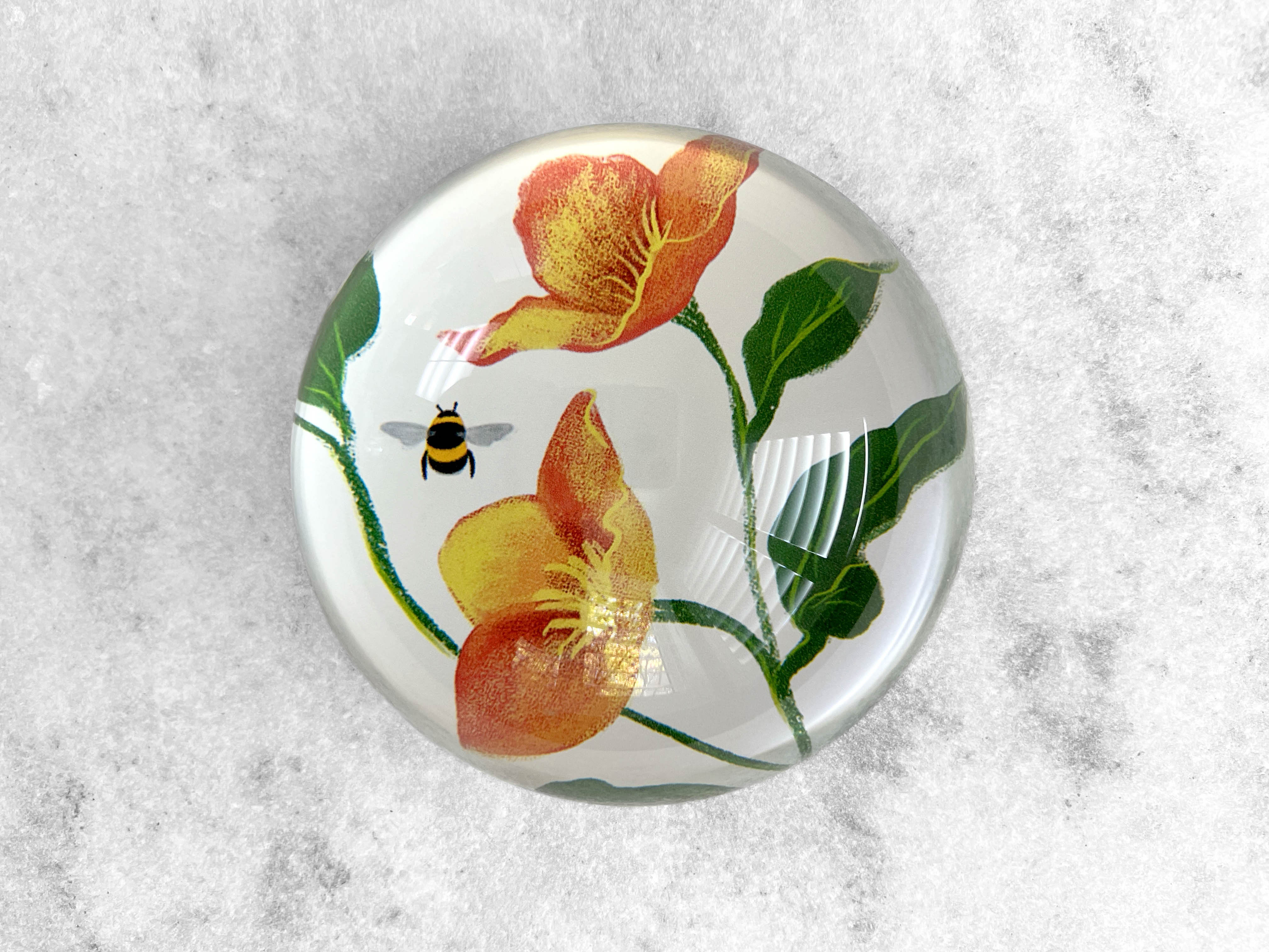 Favorite Story Paperweight 100mm Glass Dome Paperweight - Hellebore
