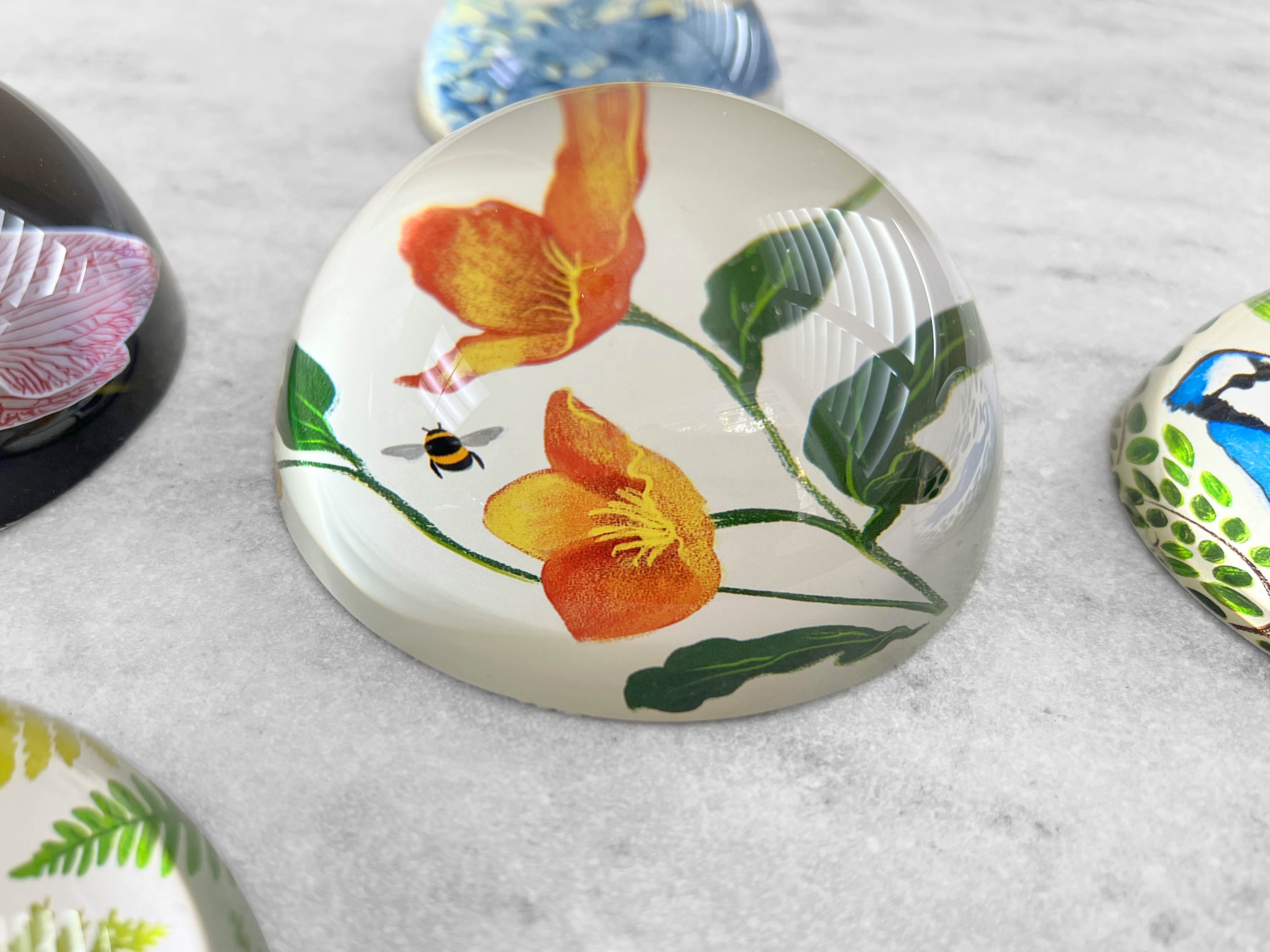 Favorite Story Paperweight 100mm Glass Dome Paperweight - Hellebore