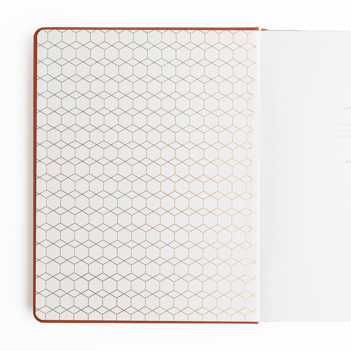 Favorite Story Archer and Olive PS: 112 Pages / Dot Grid Keeper of the Bees in Rust