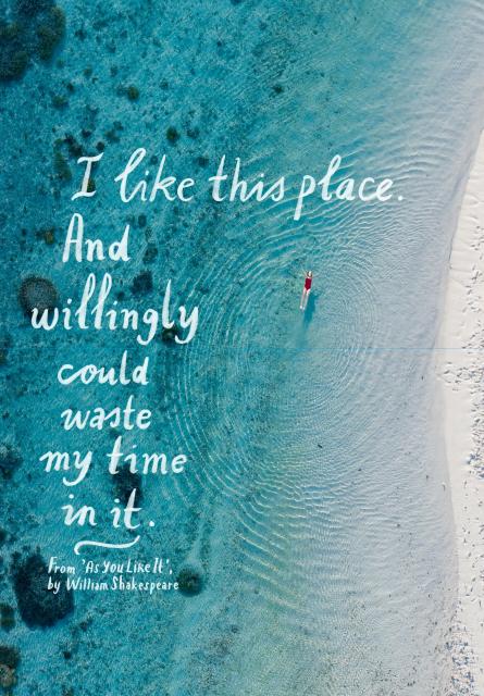 Favorite Story Hachette Paper Book For Nature Lovers