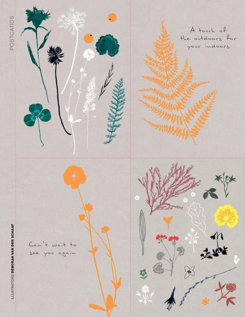 Favorite Story Hachette Paper Book For Nature Lovers
