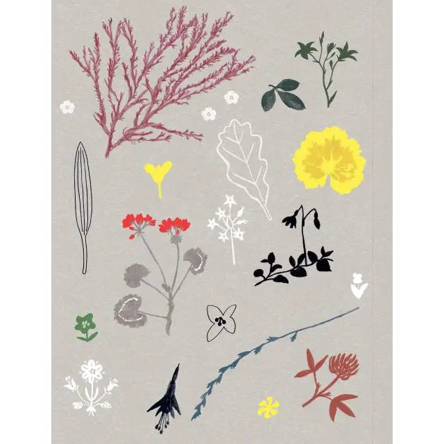 Favorite Story Hachette Paper Book For Nature Lovers
