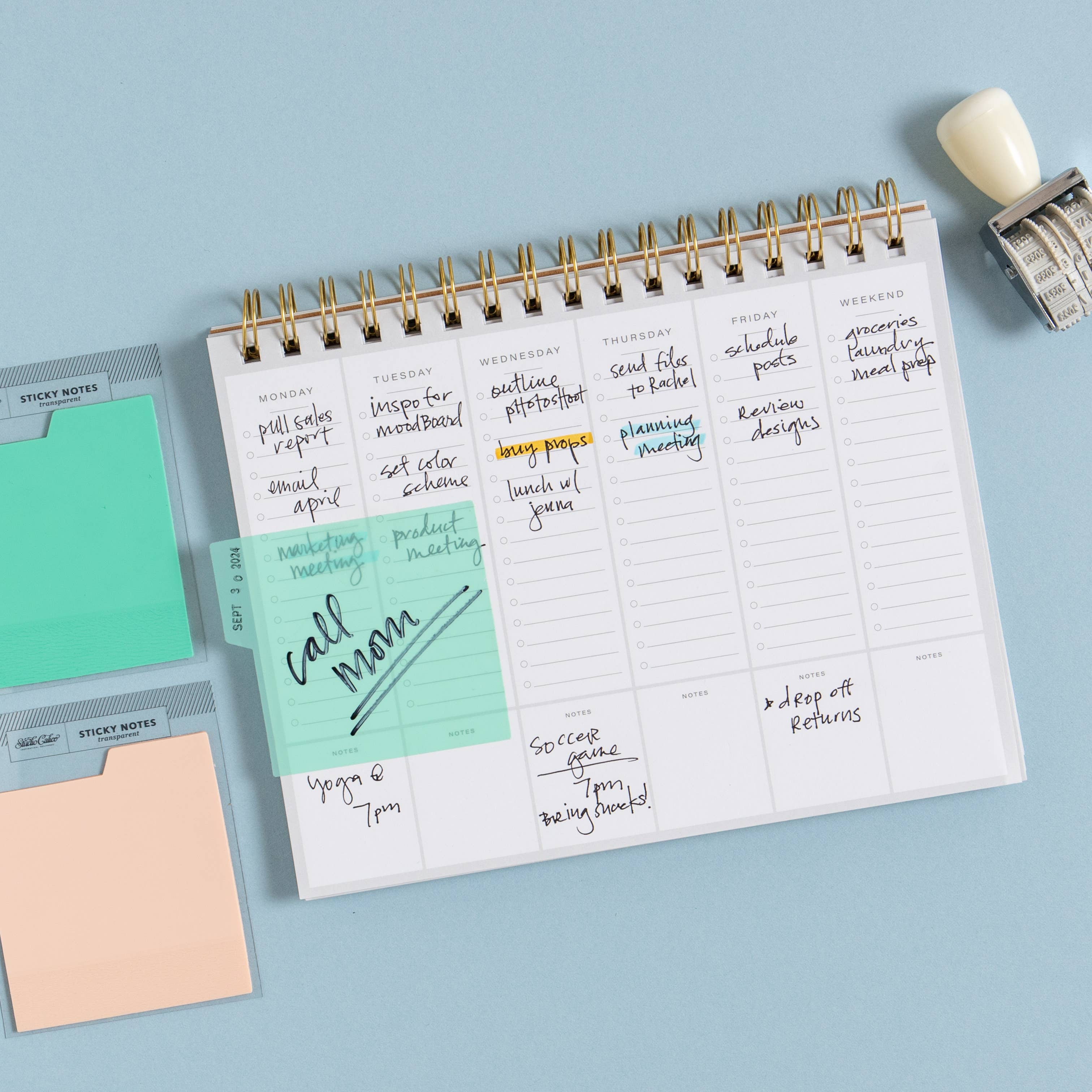 Favorite Story Studio Calico Tabbed Transparent Sticky Notes - Aqua