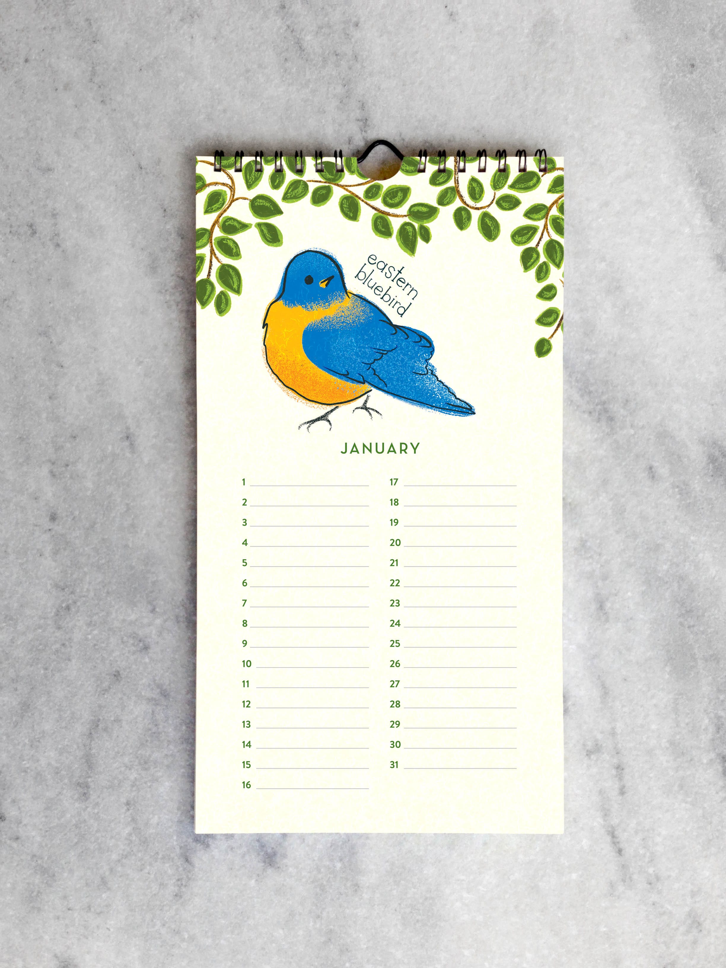 Favorite Story Celebration Calendar Feathered Friends Celebration Calendar