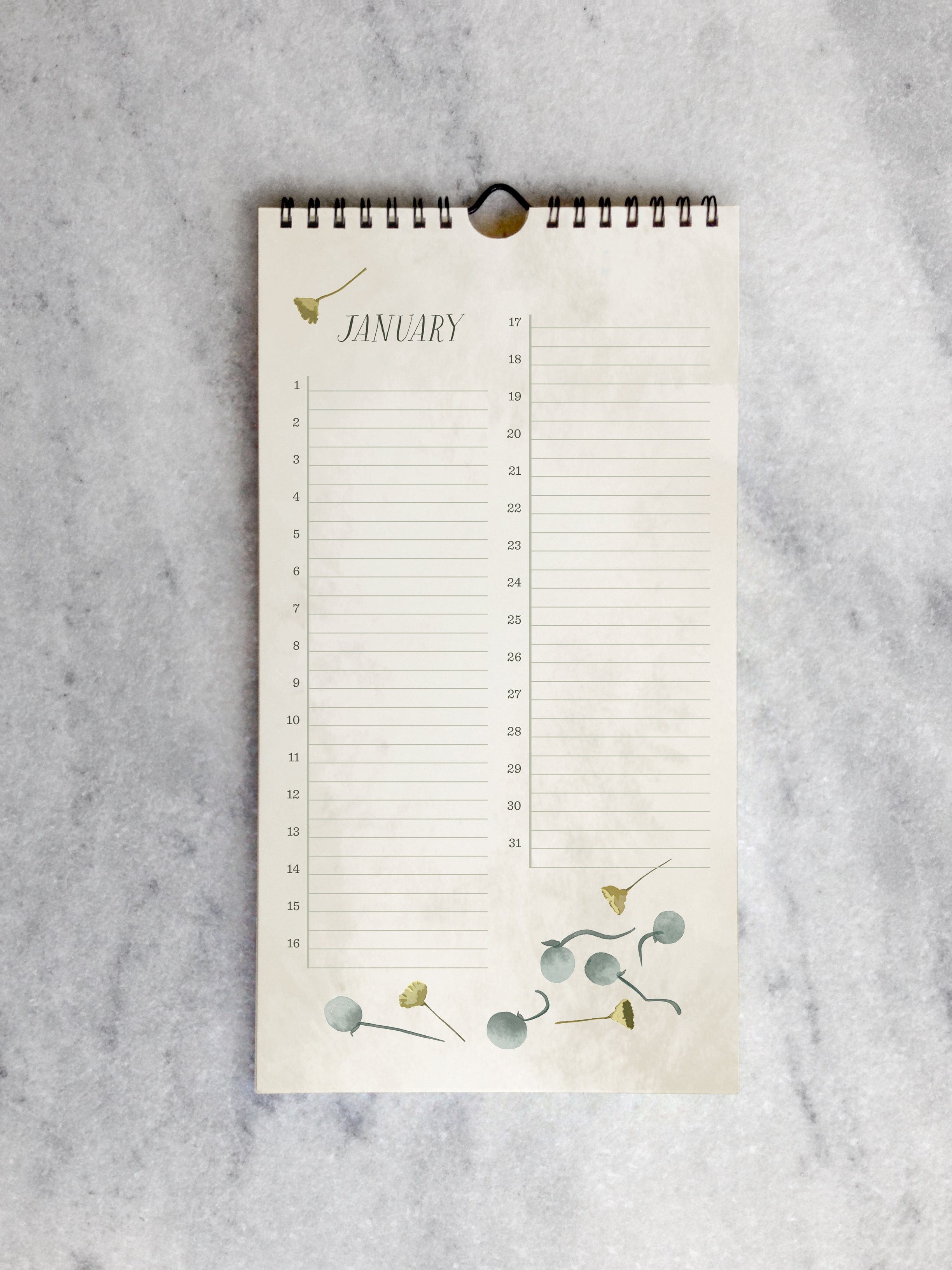 Favorite Story Celebration Calendar Field Flowers Celebration Calendar