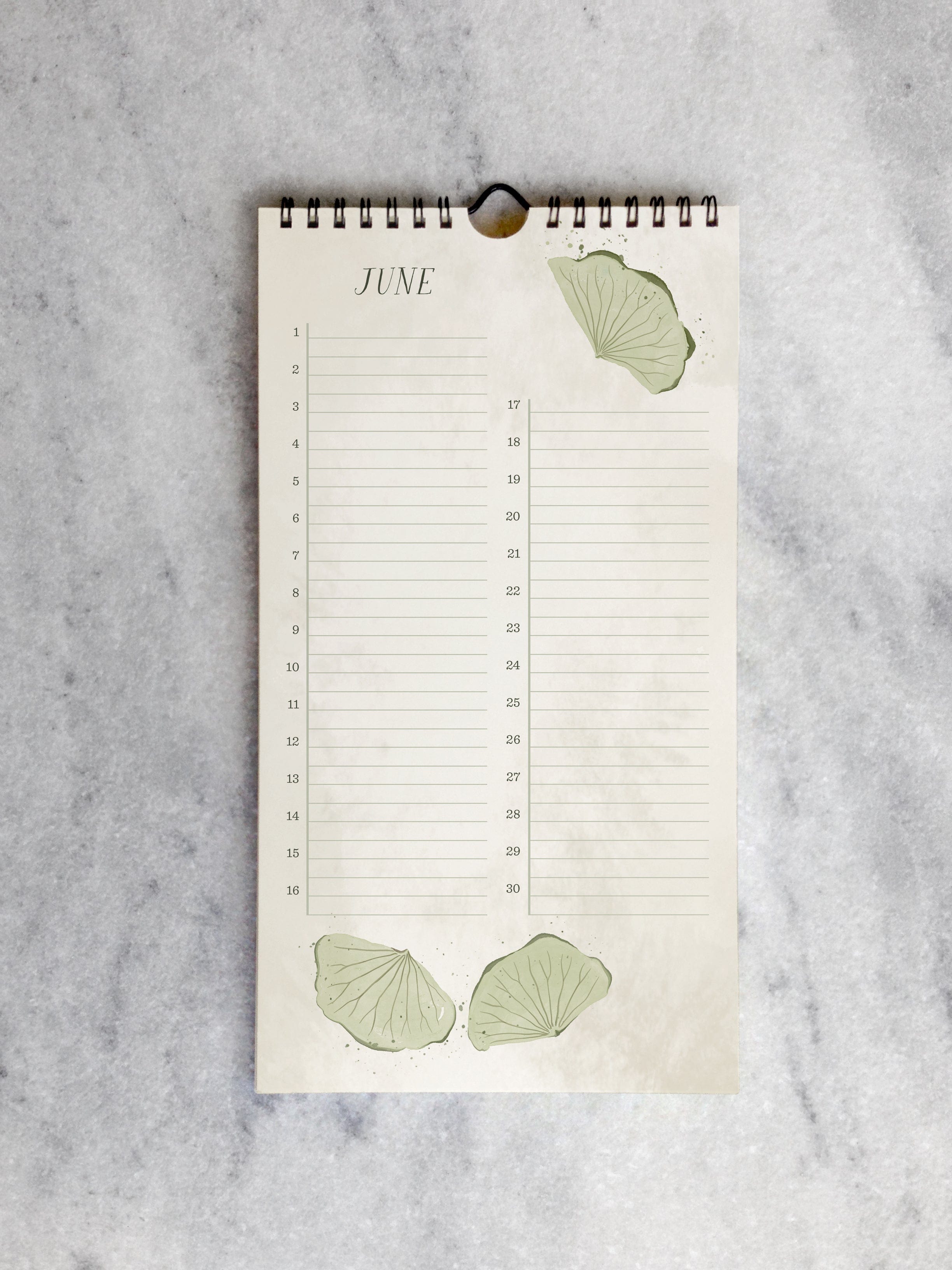 Favorite Story Celebration Calendar Field Flowers Celebration Calendar
